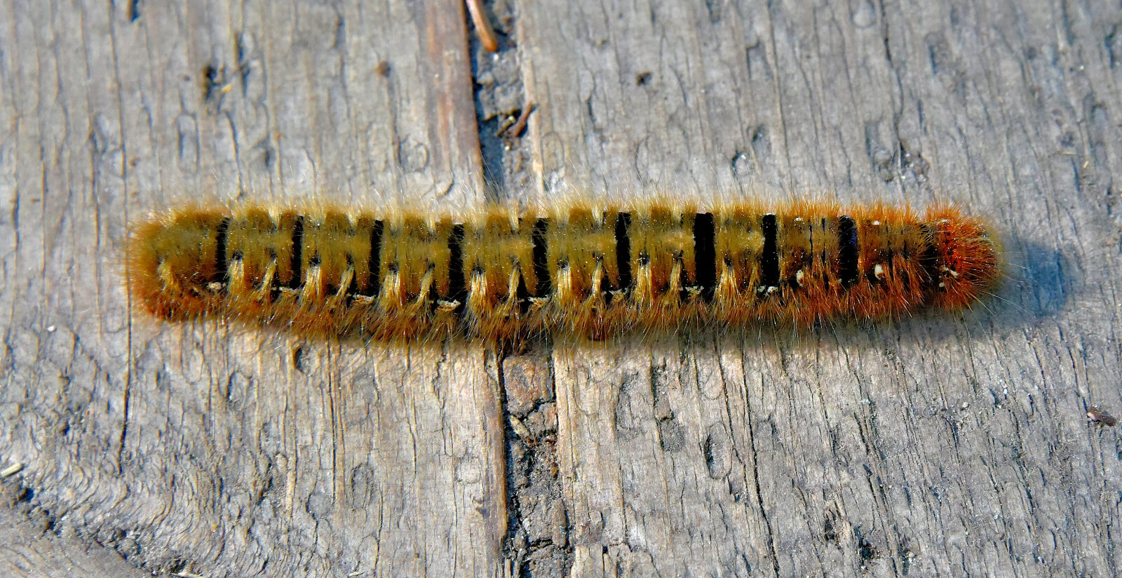 Valokuvaaja: Reijo Juurinen