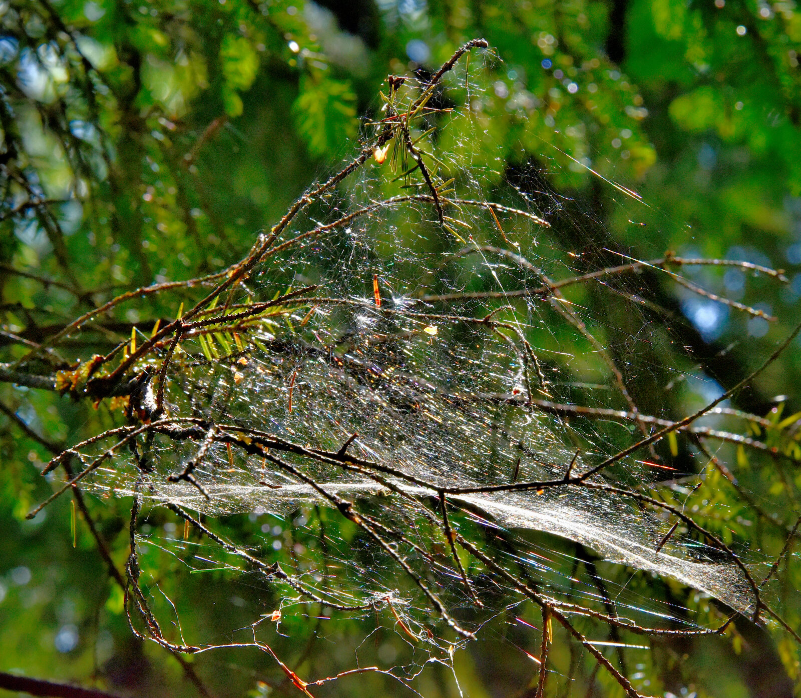 Valokuvaaja: Reijo Juurinen