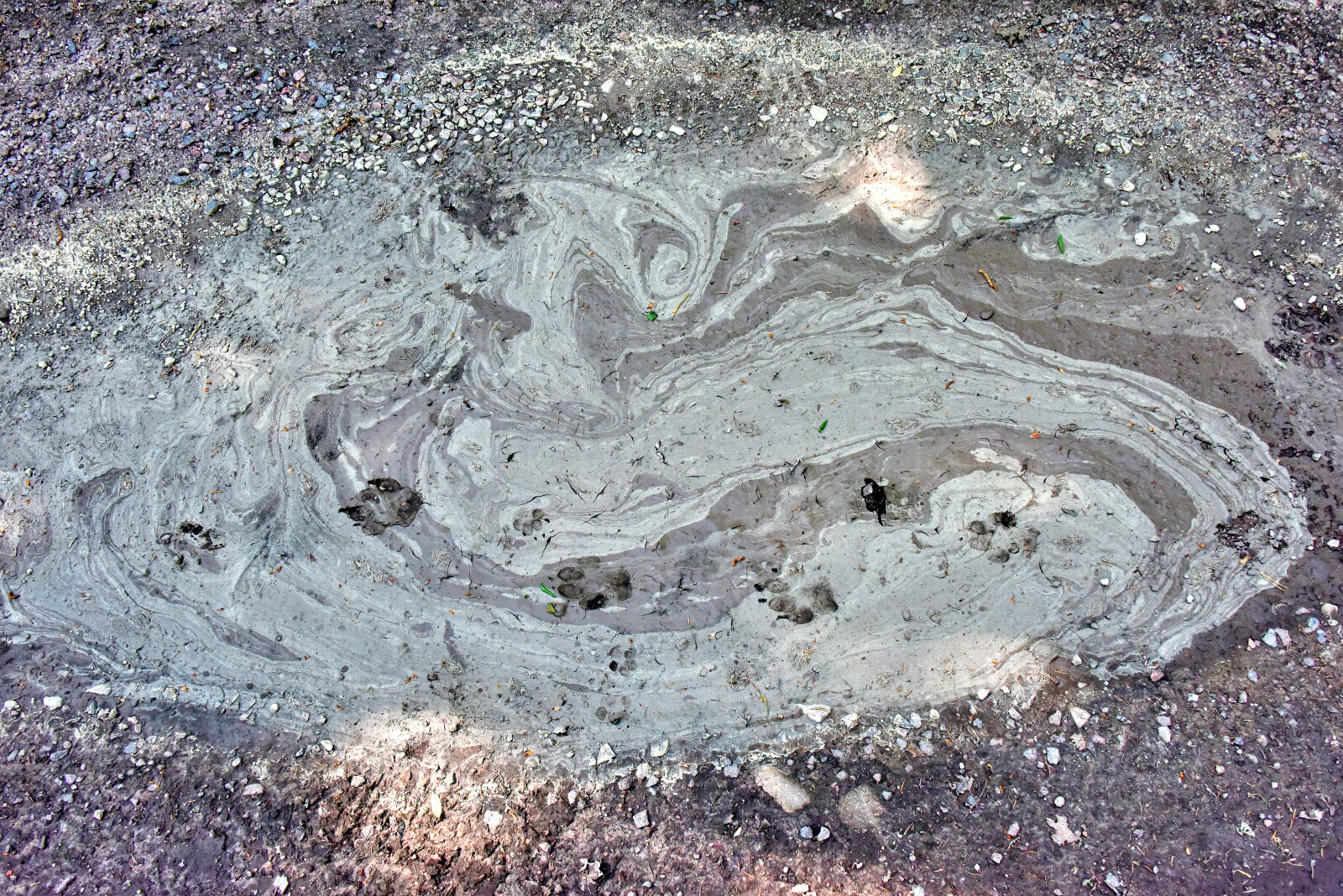 Valokuvaaja: Reijo Juurinen