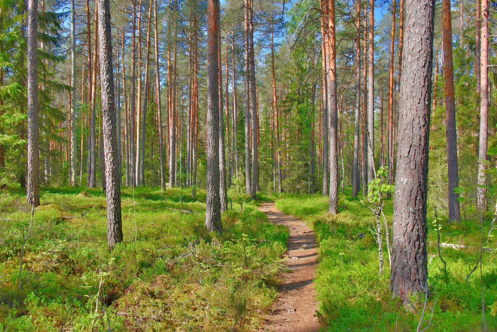 Valokuvaaja: Reijo Juurinen