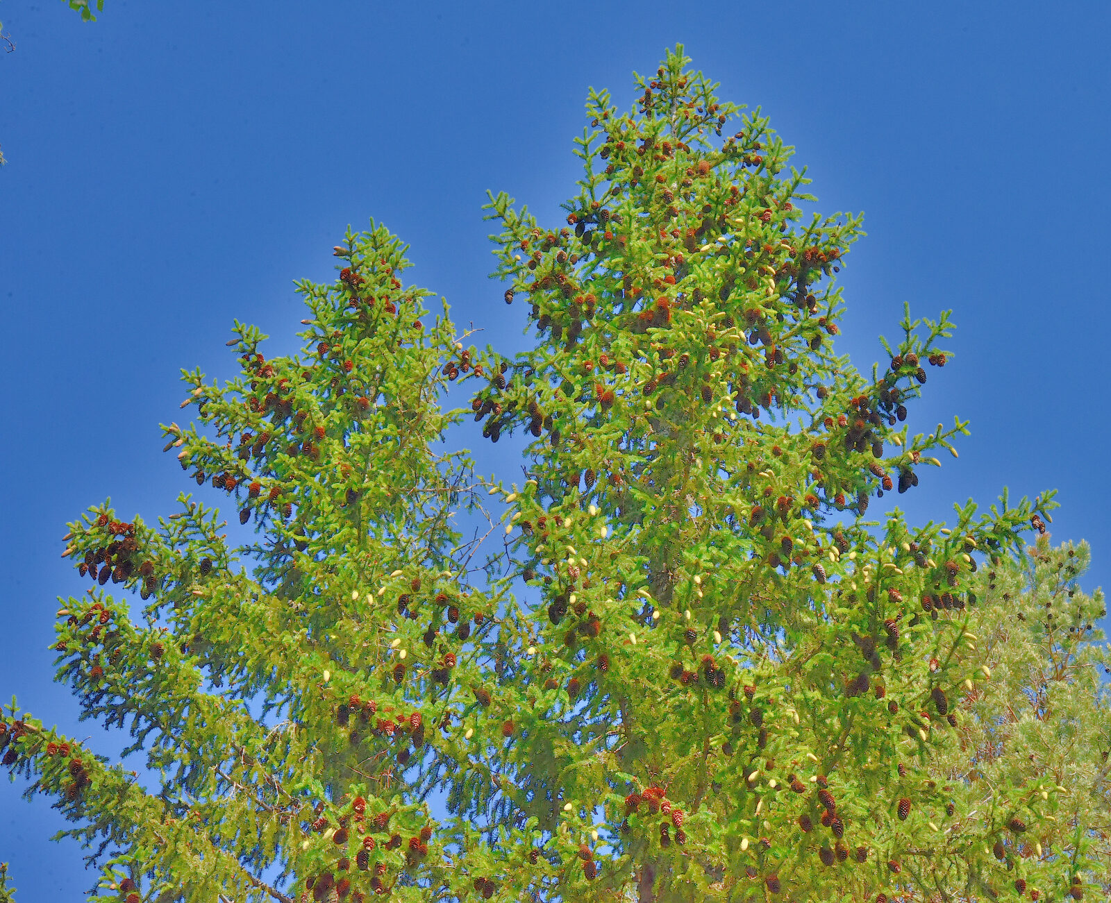 Valokuvaaja: Reijo Juurinen