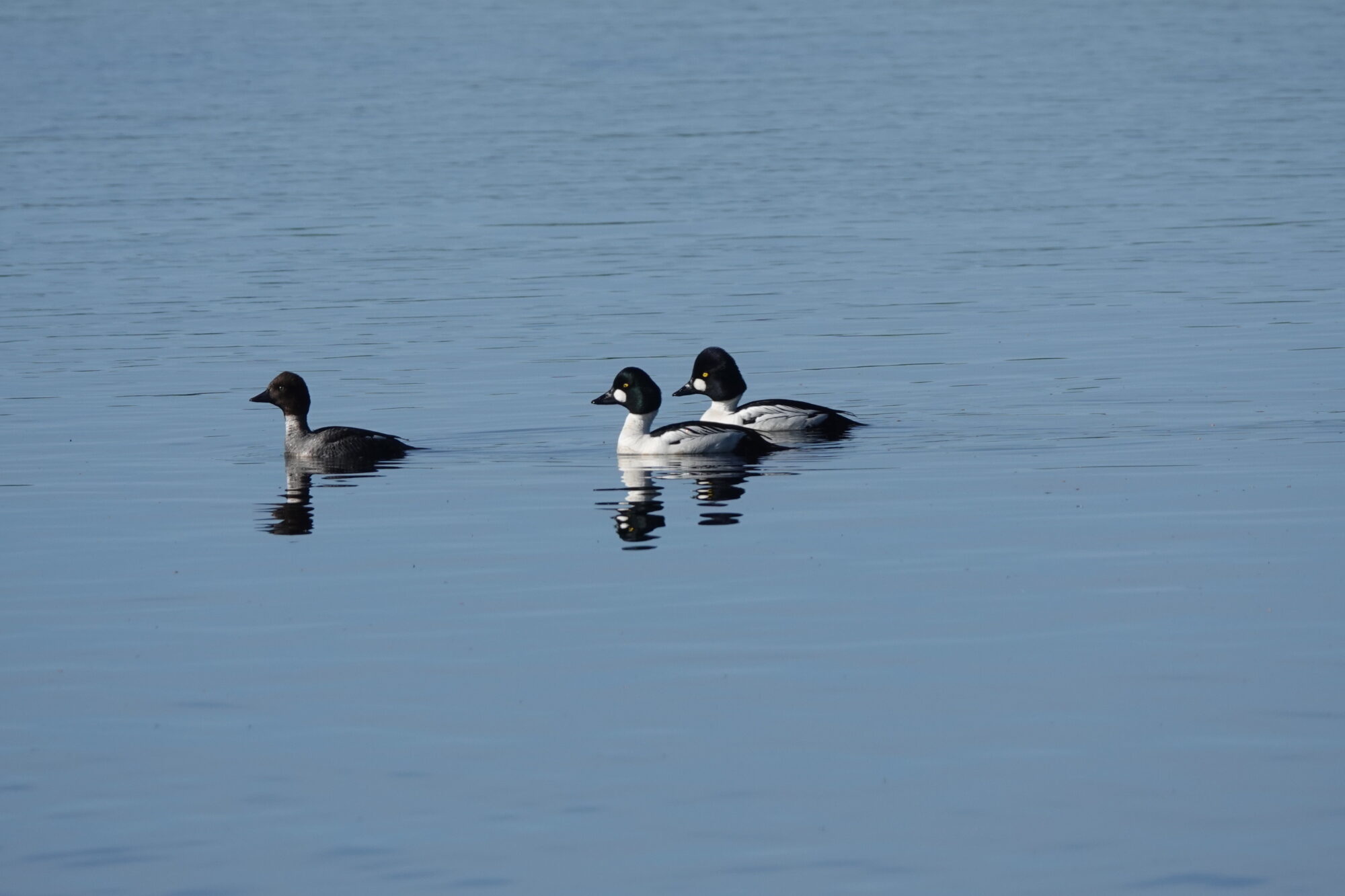 Valokuvaaja: Jenna Pitkänen