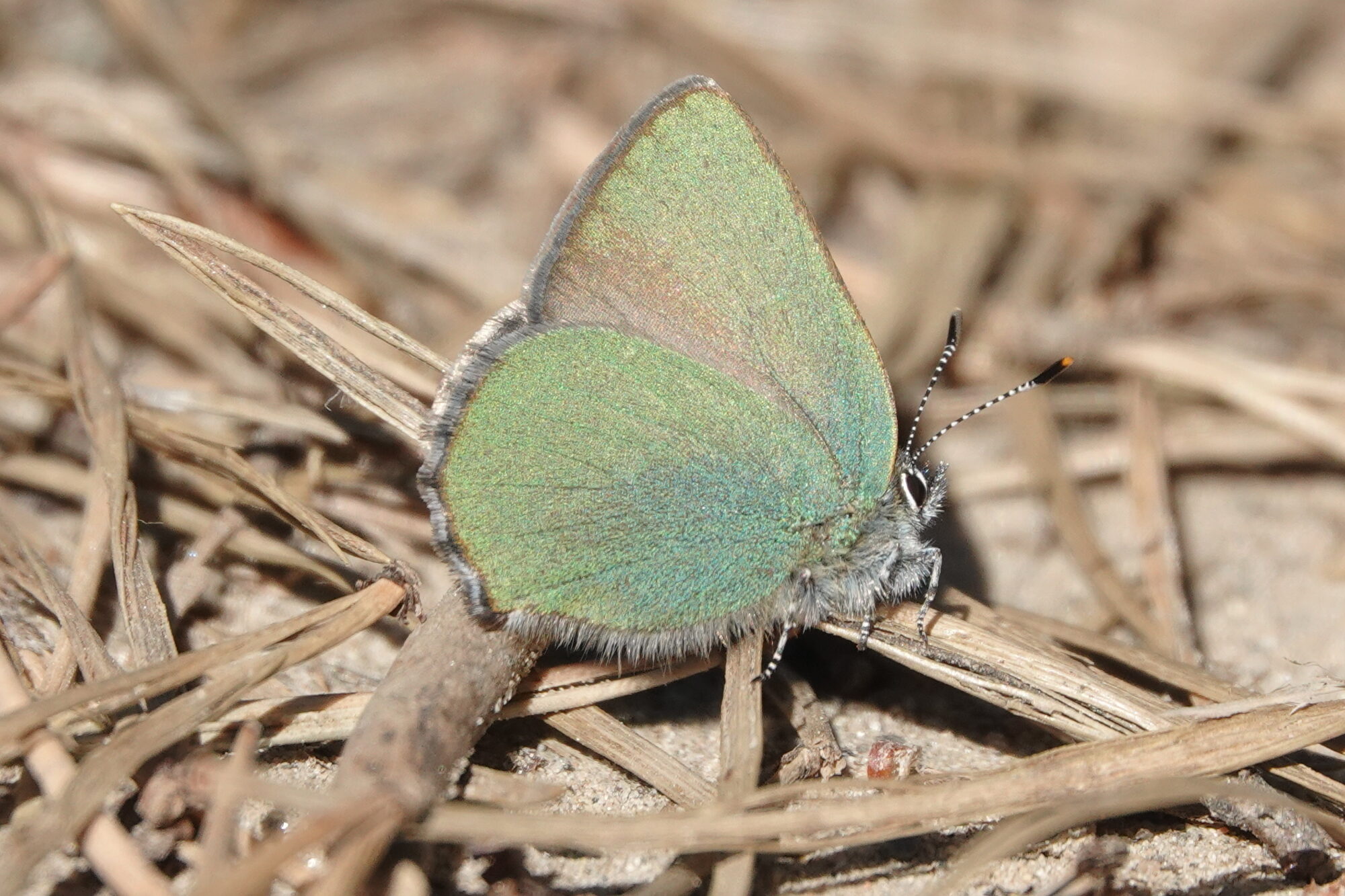 Valokuvaaja: Jenna Pitkänen