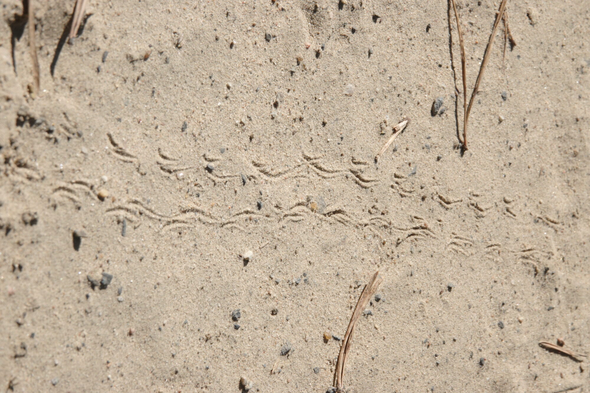 Valokuvaaja: Jenna Pitkänen