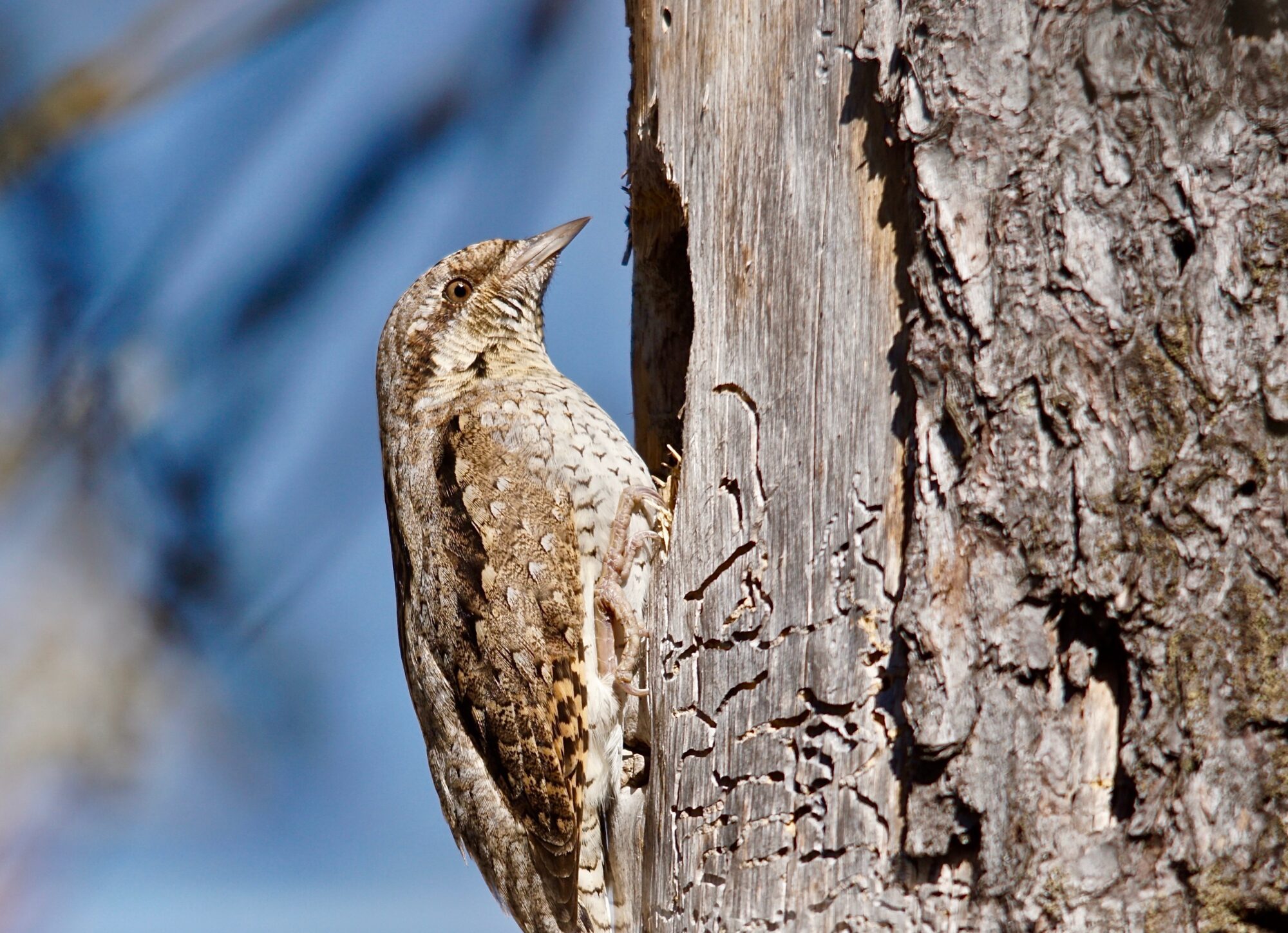 Valokuvaaja: Markku Ranta-Eilola Valokuvaaja: Markku Ranta-Eilola