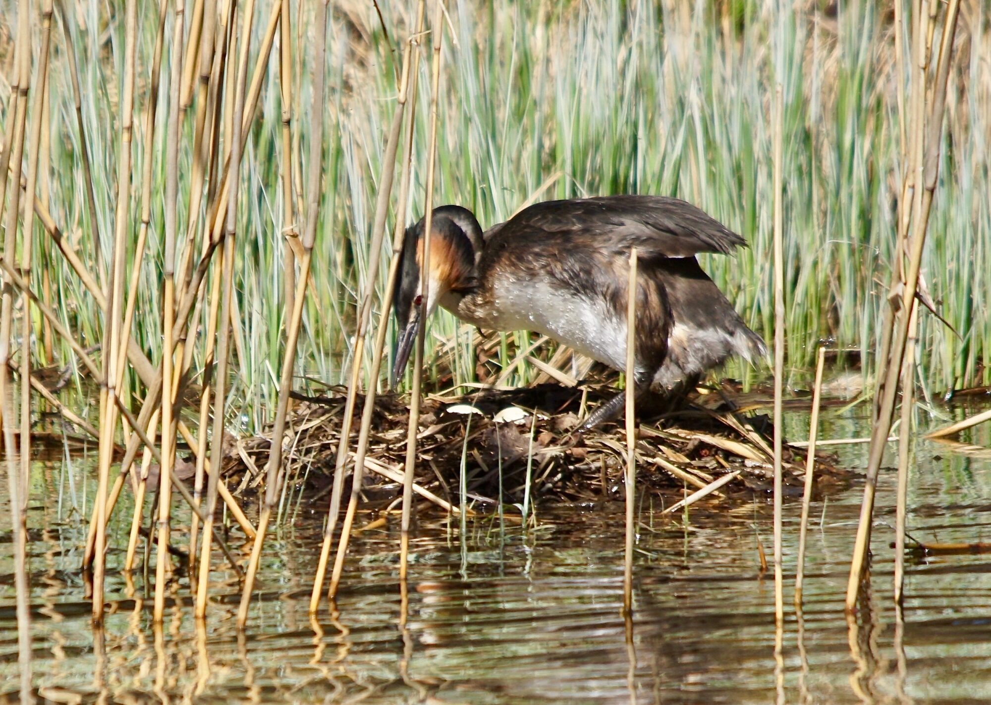 Valokuvaaja: Markku Ranta-Eilola