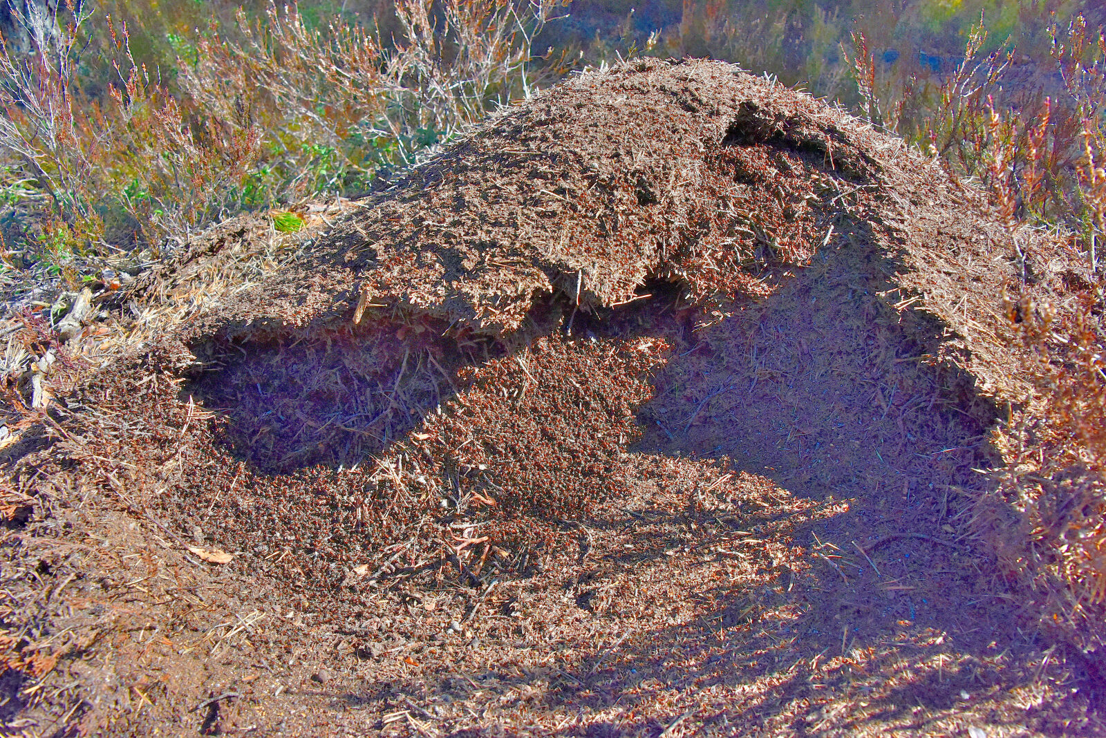 Valokuvaaja: Reijo Juurinen