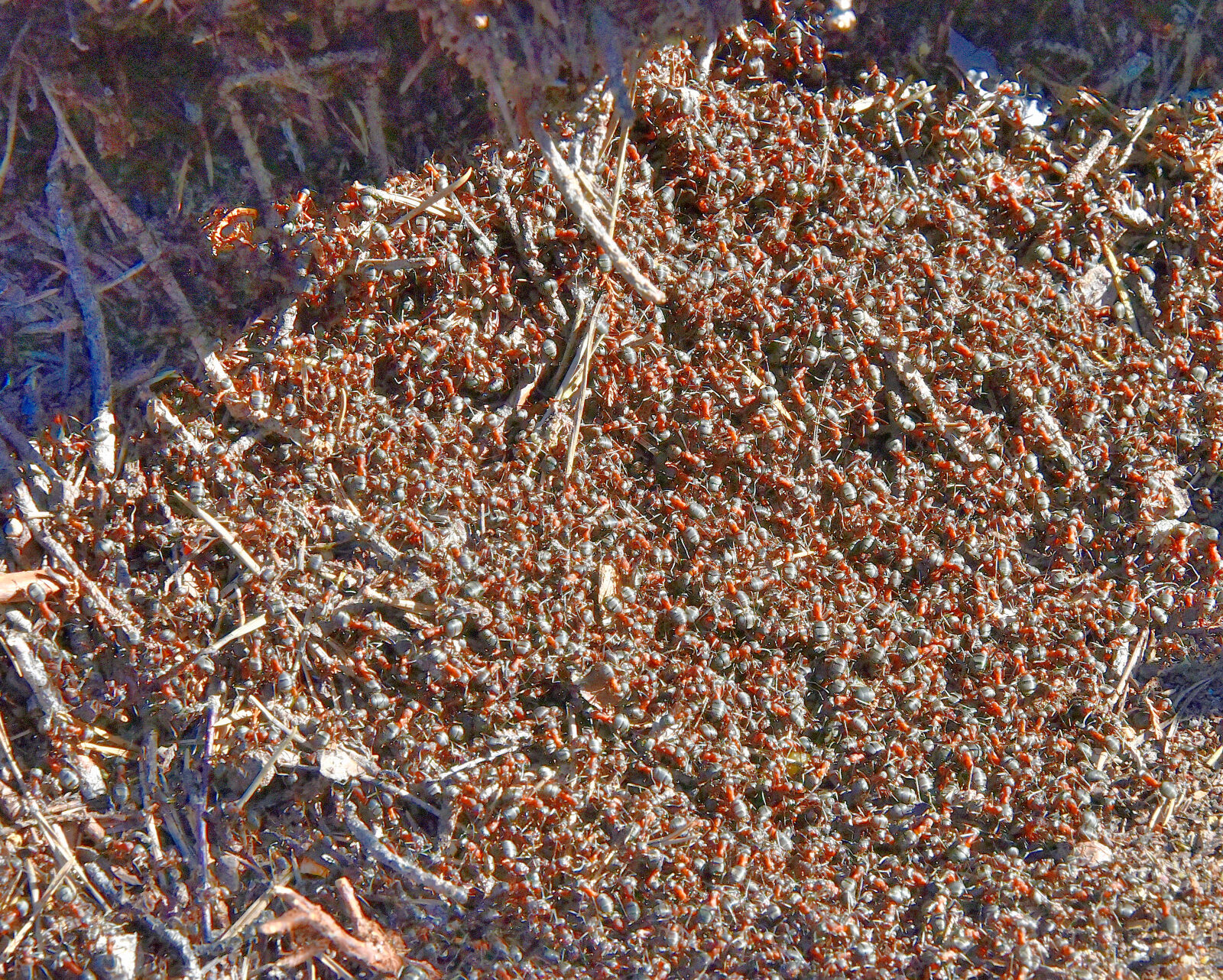 Valokuvaaja: Reijo Juurinen