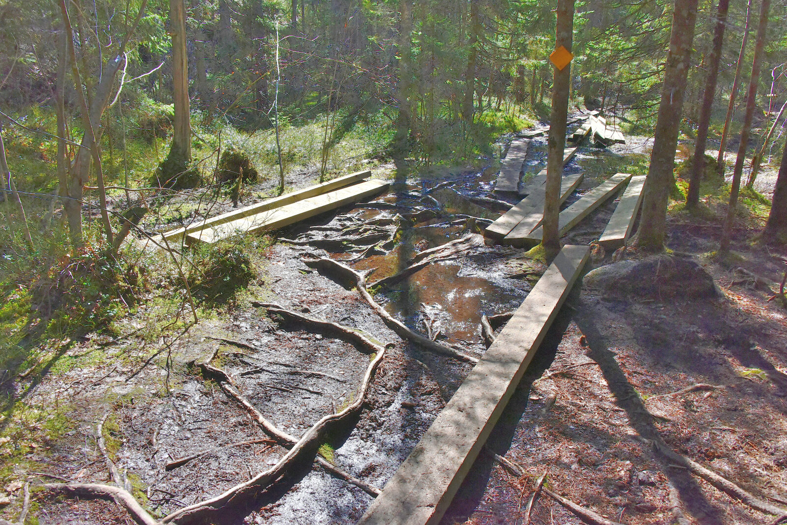 Valokuvaaja: Reijo Juurinen