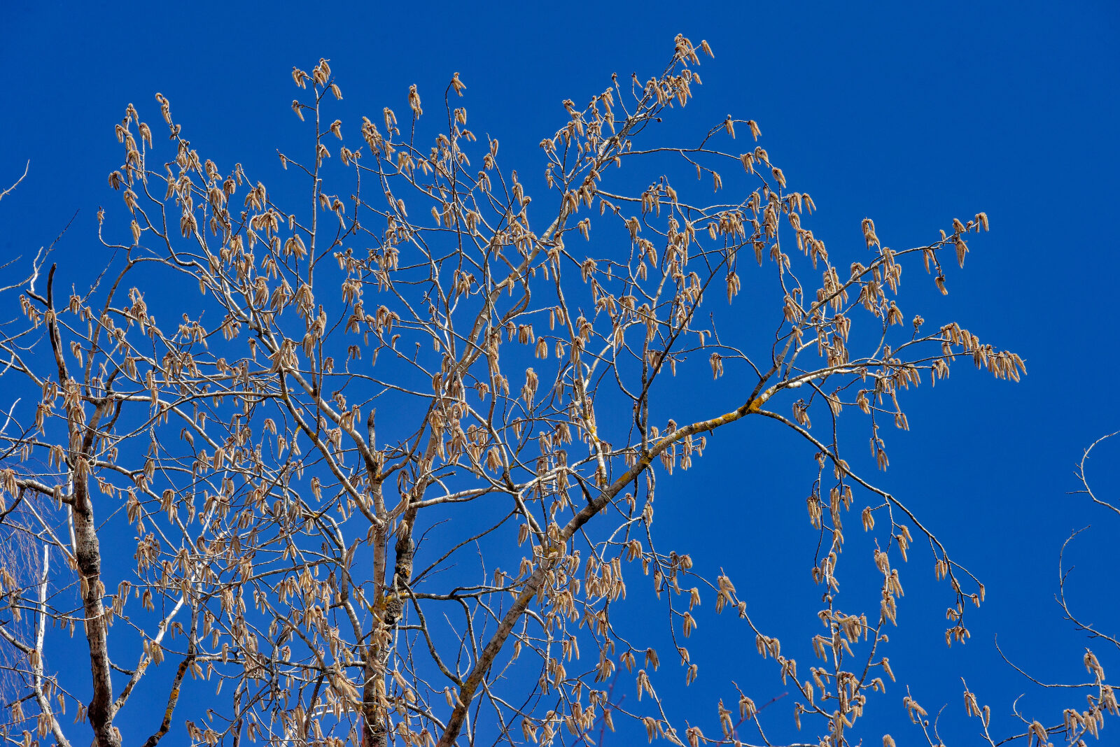 Valokuvaaja: Reijo Juurinen