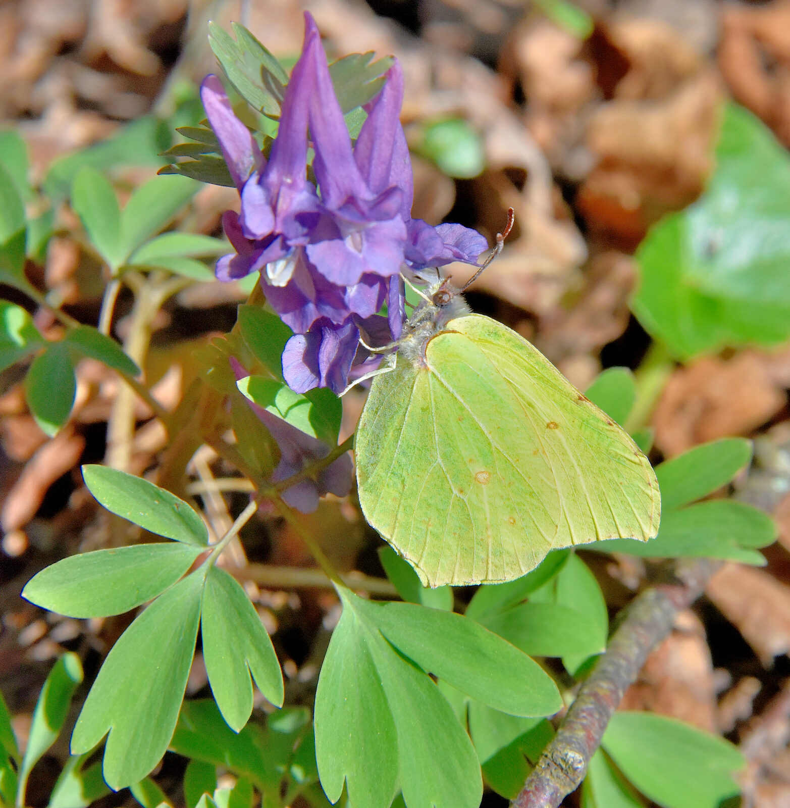 Valokuvaaja: Reijo Juurinen