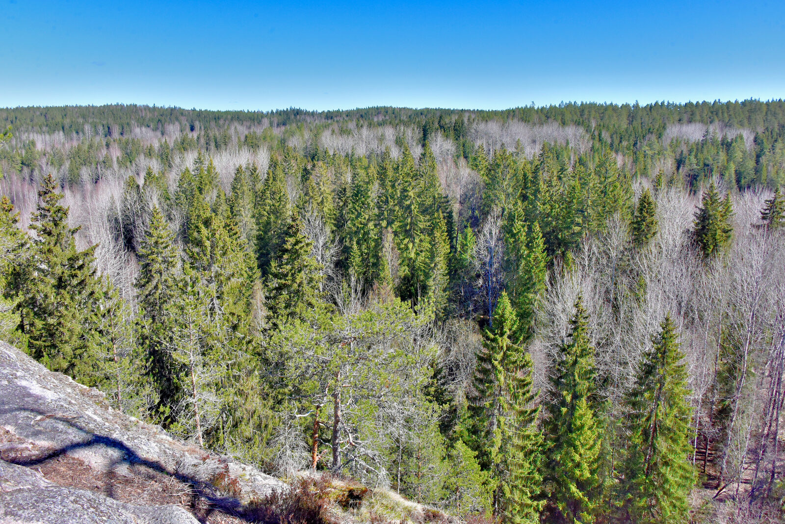 Valokuvaaja: Reijo Juurinen