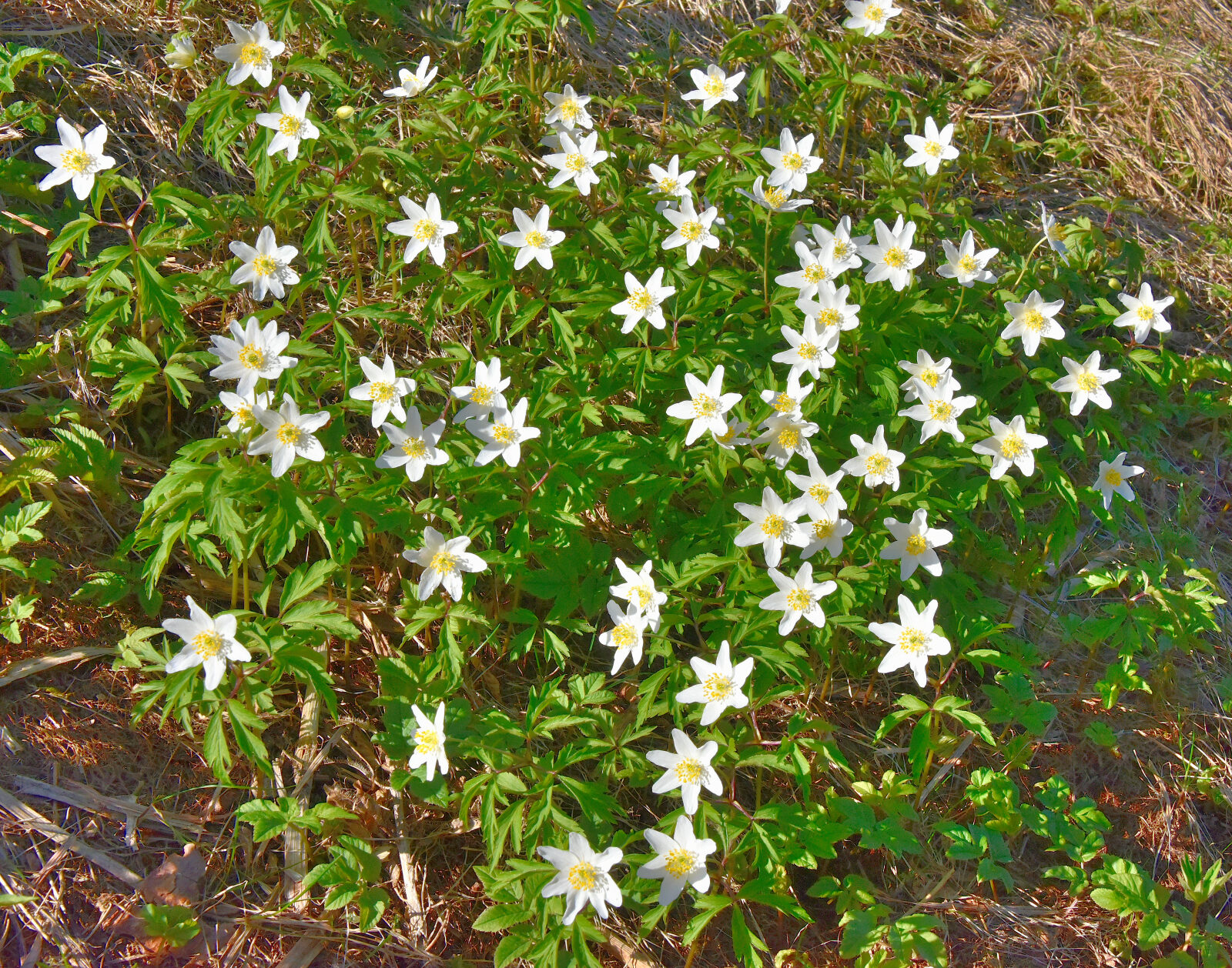 Valokuvaaja: Reijo Juurinen