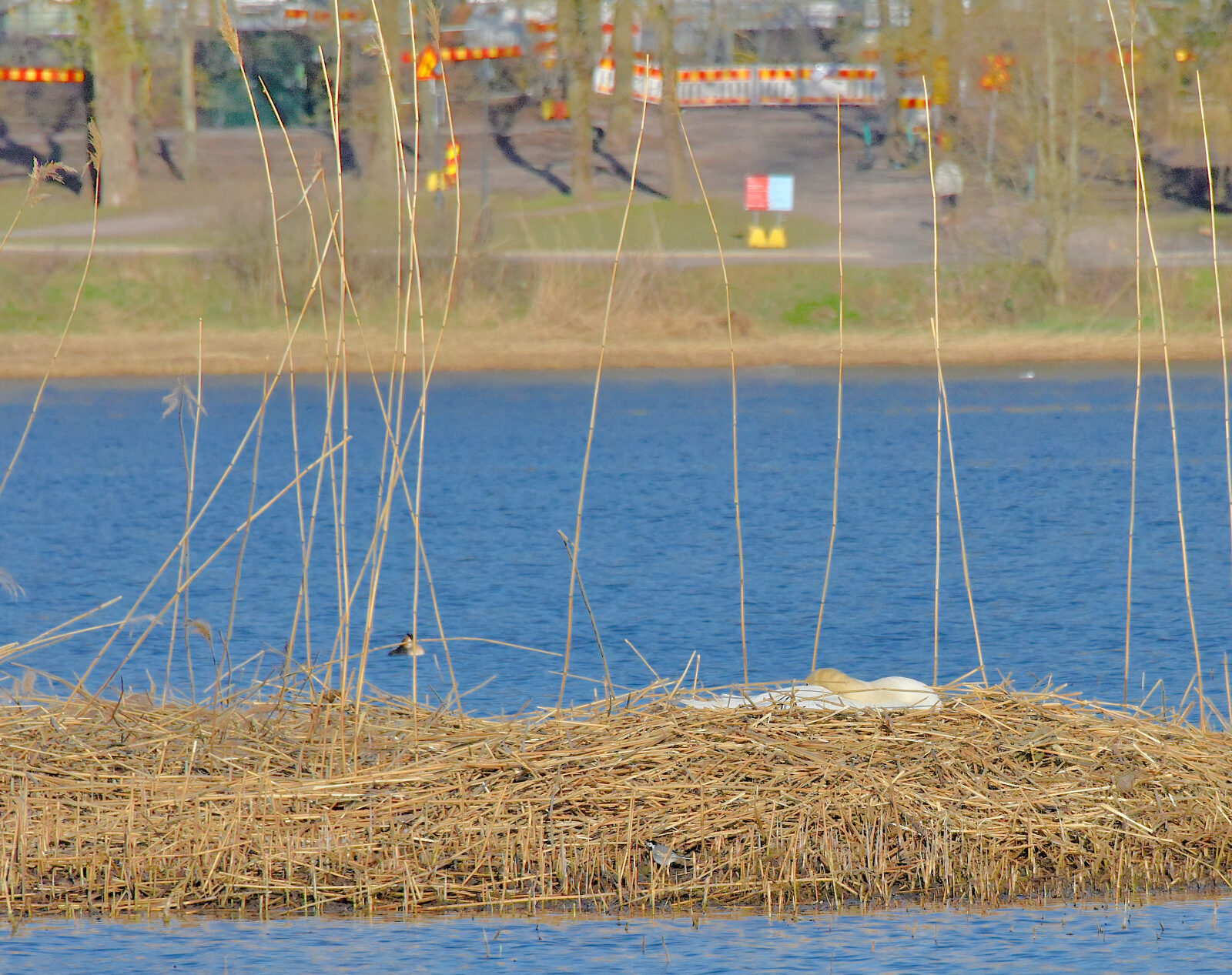 Valokuvaaja: Reijo Juurinen Valokuvaaja: Reijo Juurinen