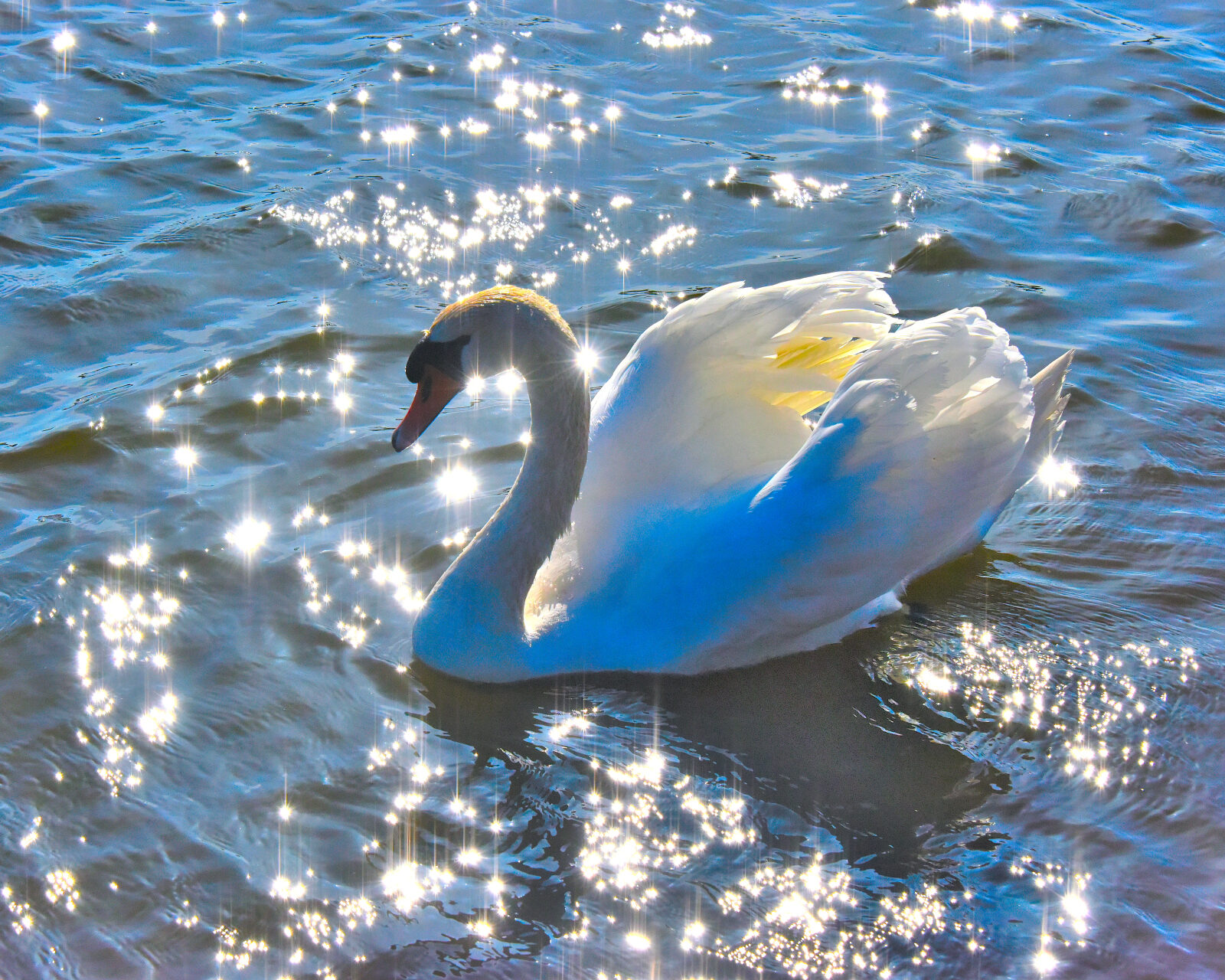 Valokuvaaja: Reijo Juurinen