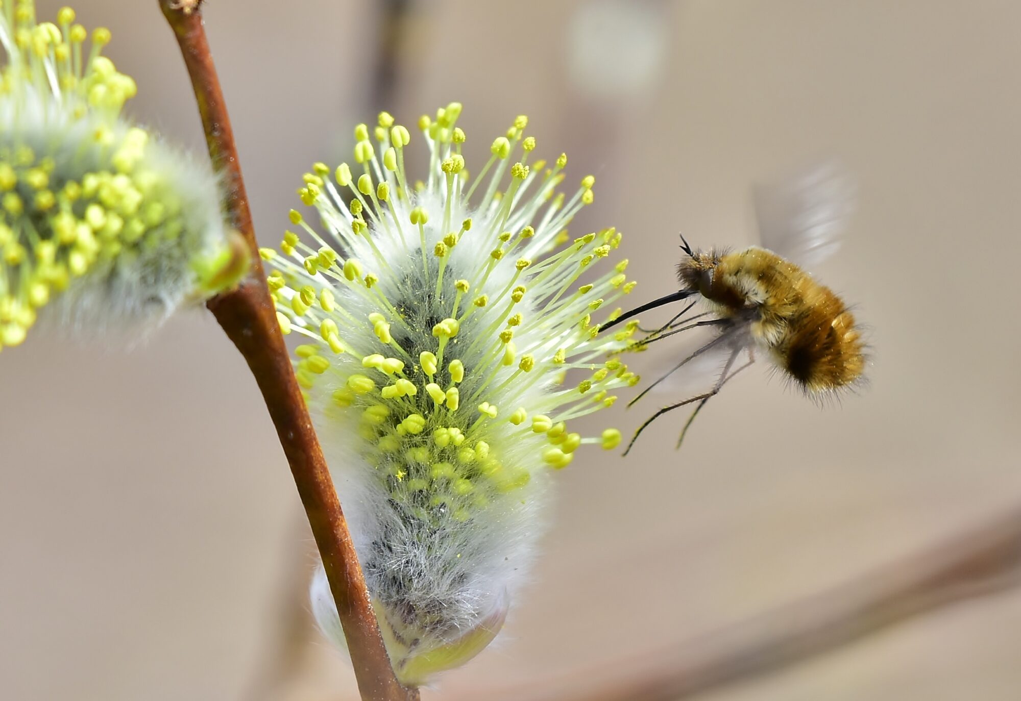 Valokuvaaja: Markku Pelkonen