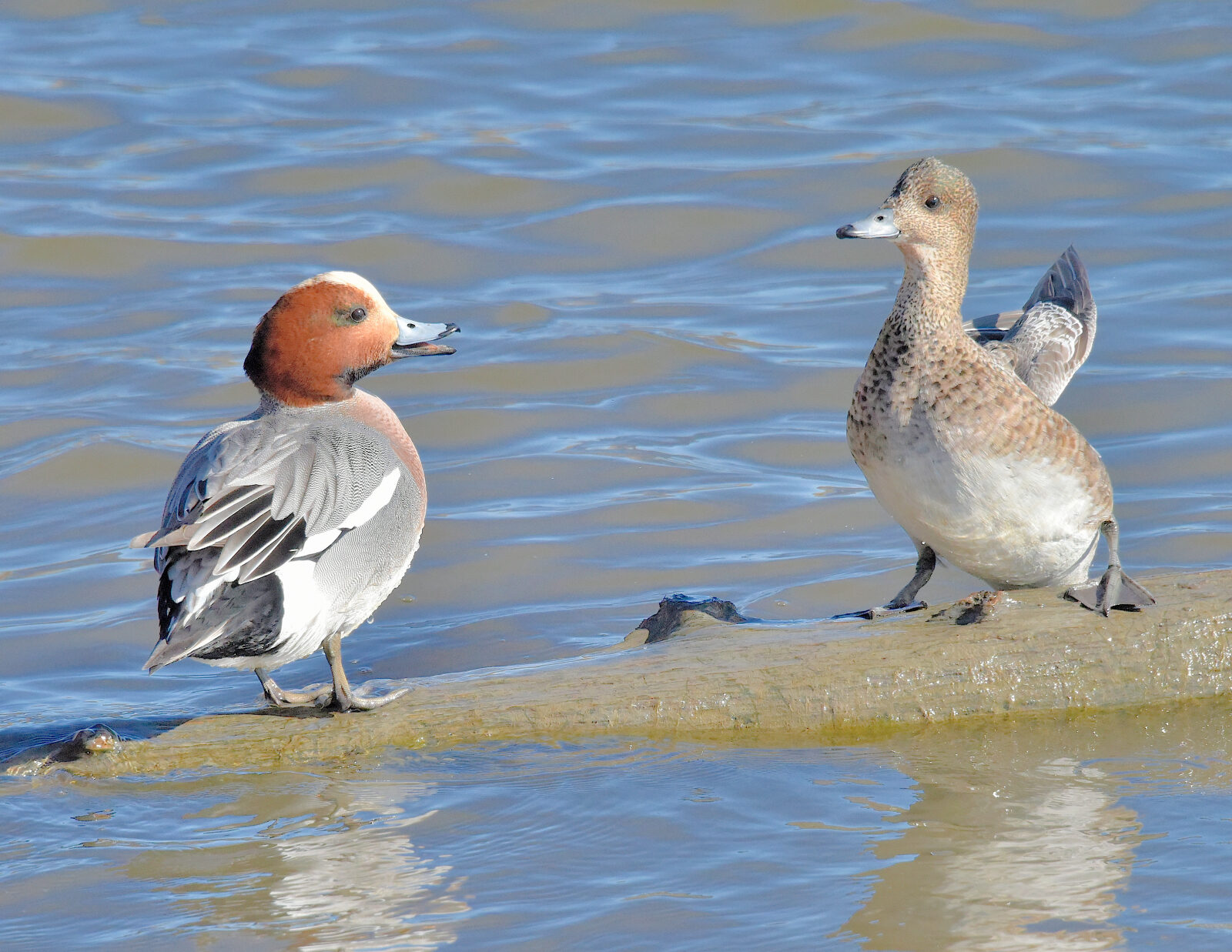Valokuvaaja: Reijo Juurinen