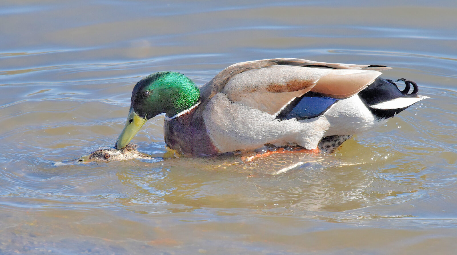 Valokuvaaja: Reijo Juurinen