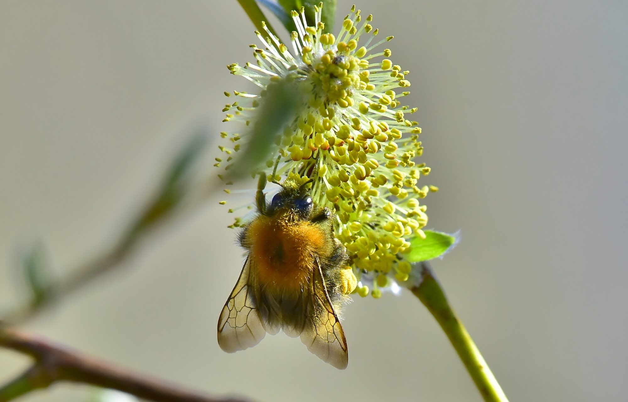 Valokuvaaja: Markku Pelkonen