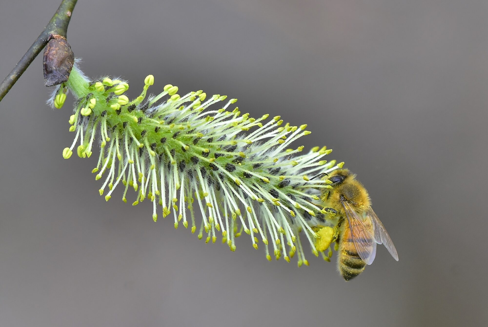 Valokuvaaja: Markku Pelkonen