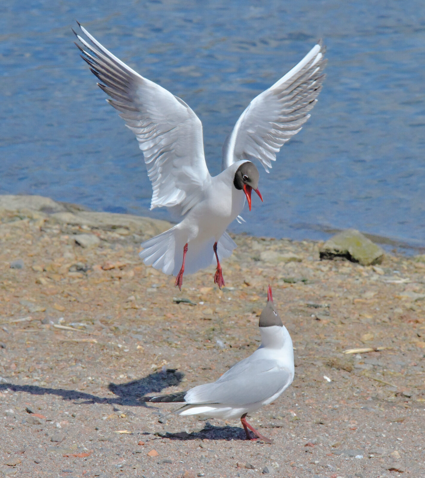 Valokuvaaja: Reijo Juurinen