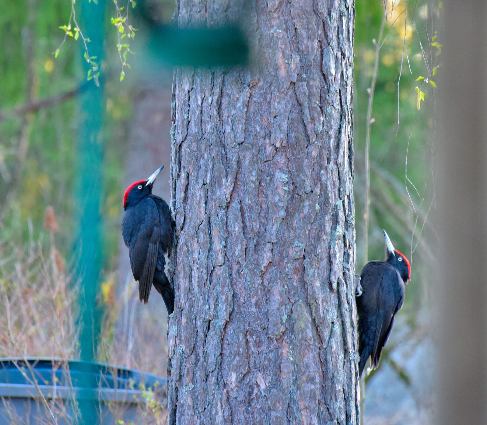 Valokuvaaja: Reijo Juurinen