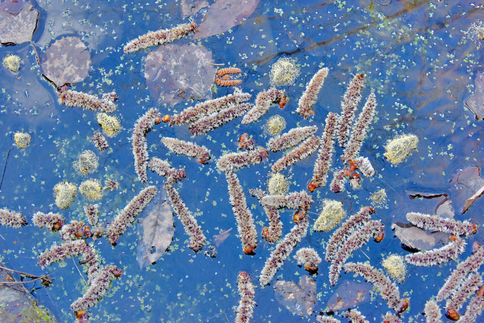 Valokuvaaja: Reijo Juurinen