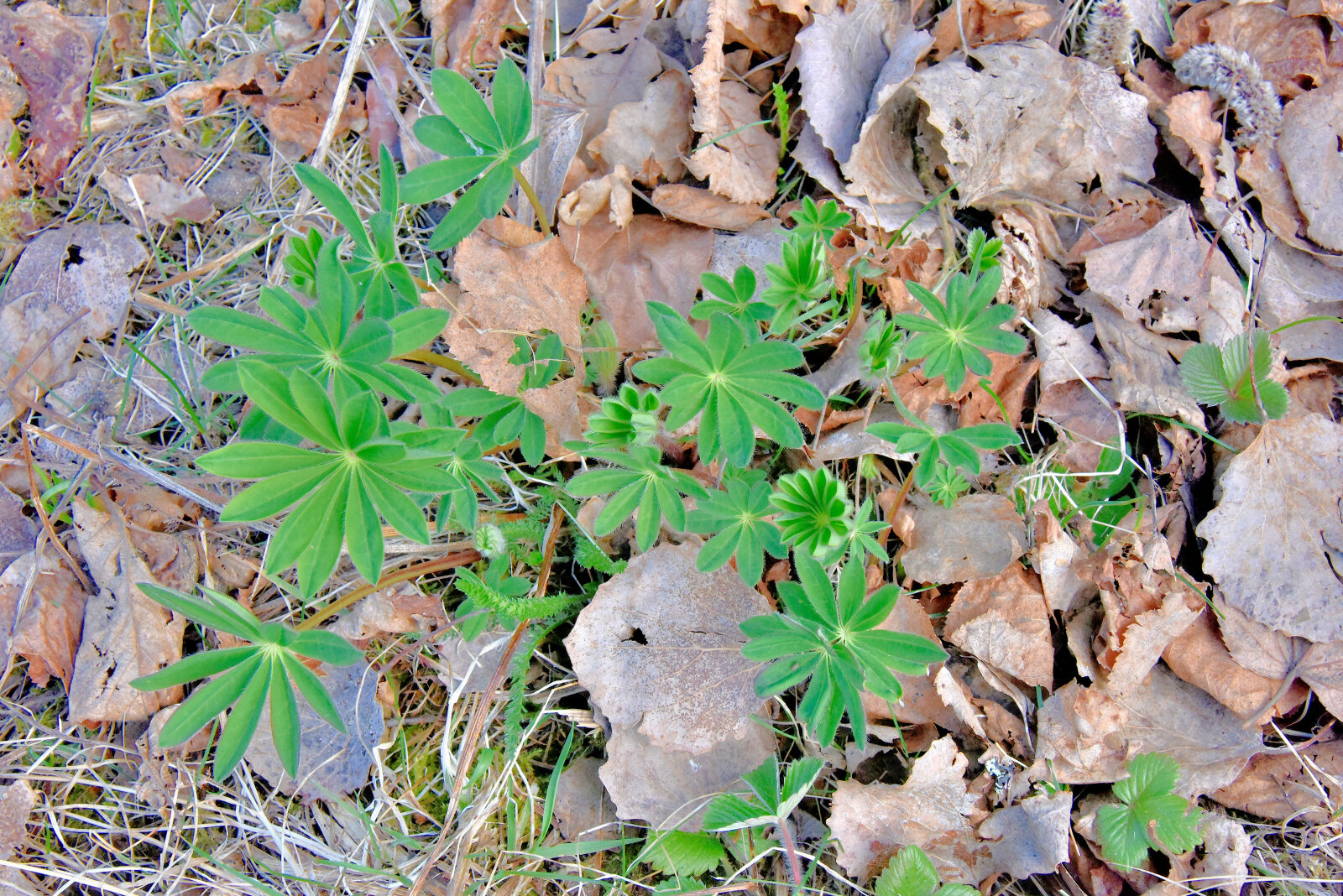 Valokuvaaja: Reijo Juurinen