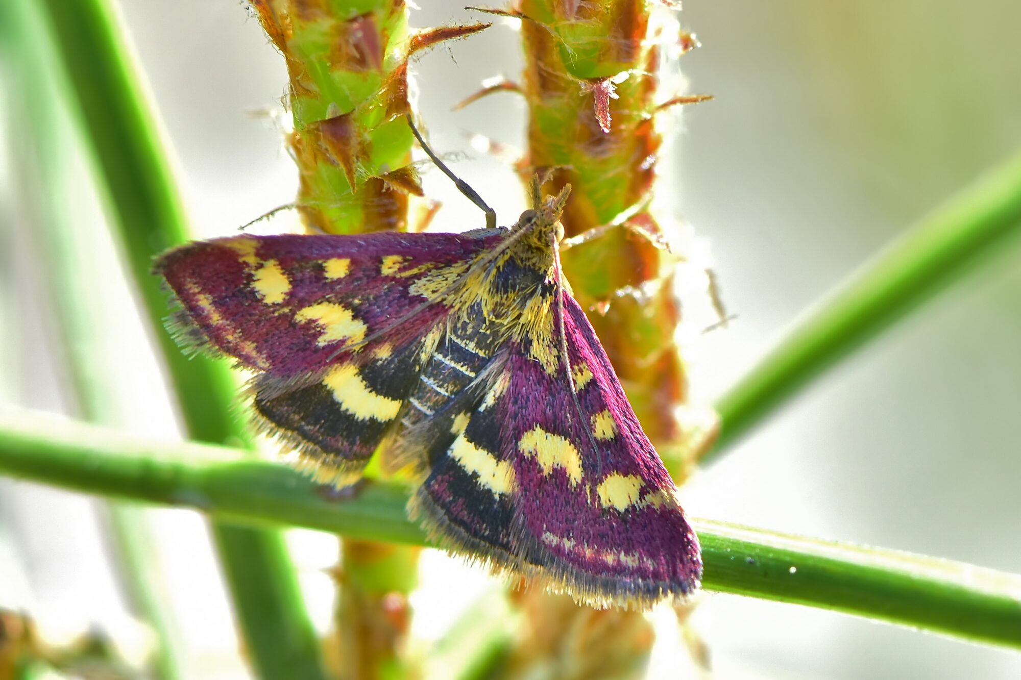 Valokuvaaja: Markku Pelkonen