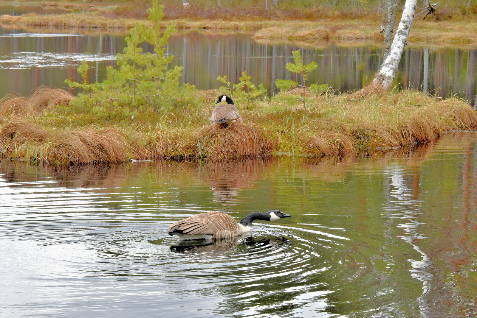 Valokuvaaja: Reijo Juurinen