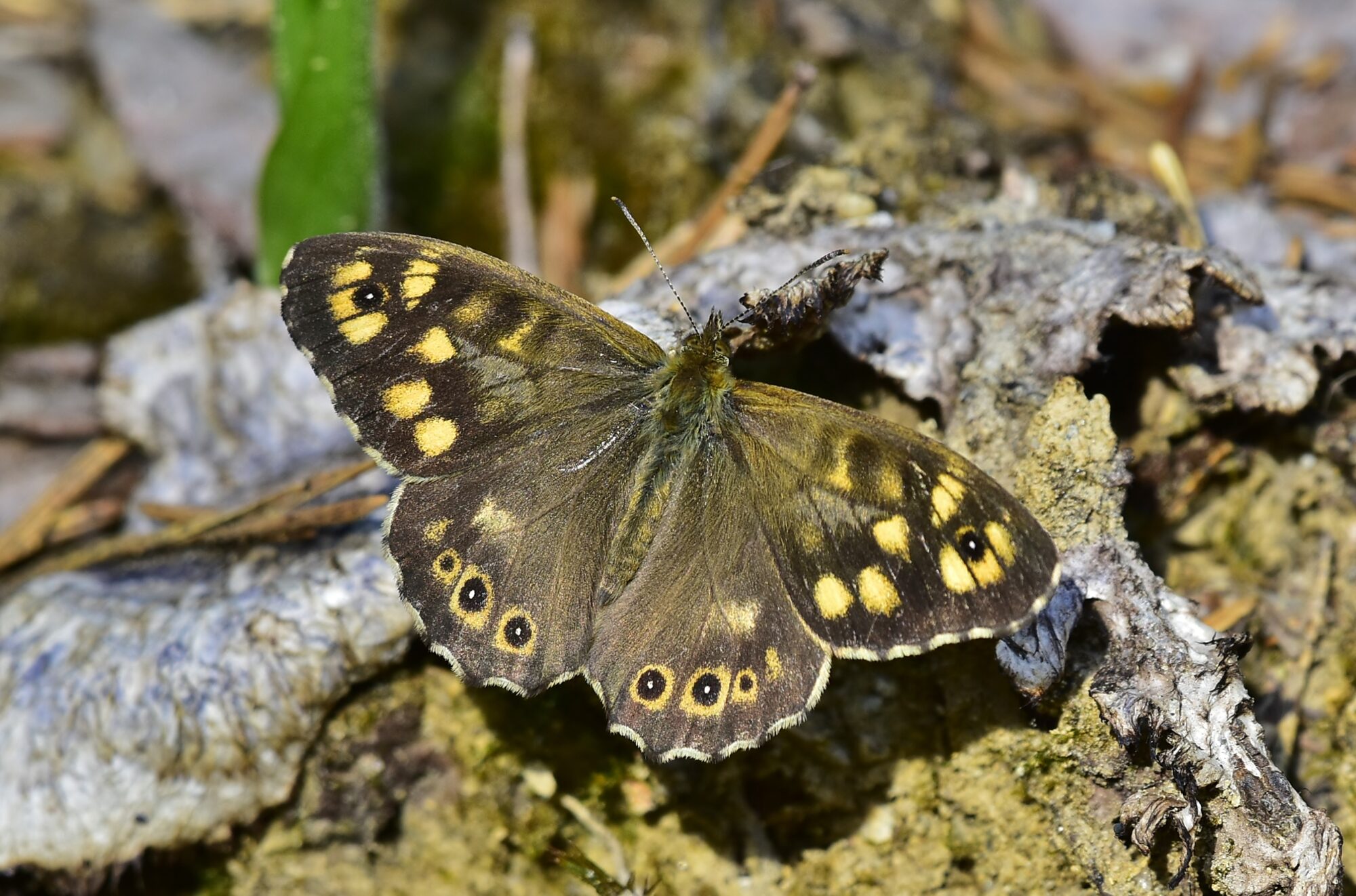 Valokuvaaja: Markku Pelkonen