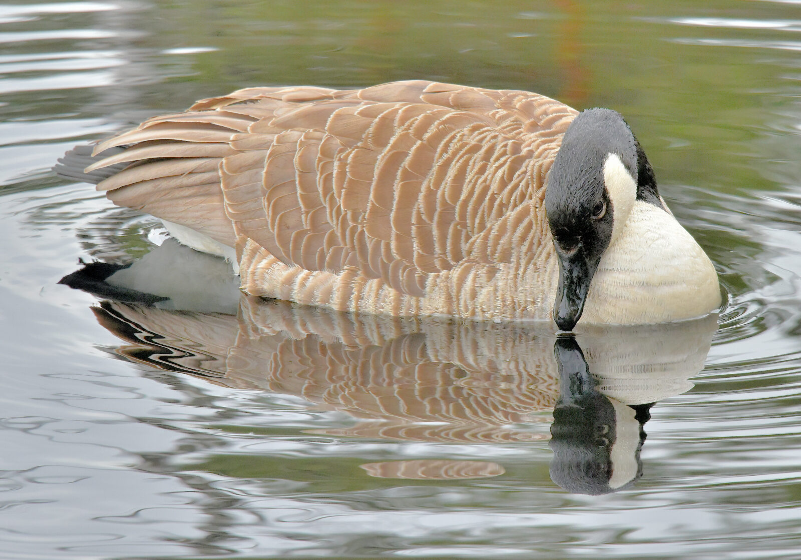 Valokuvaaja: Reijo Juurinen