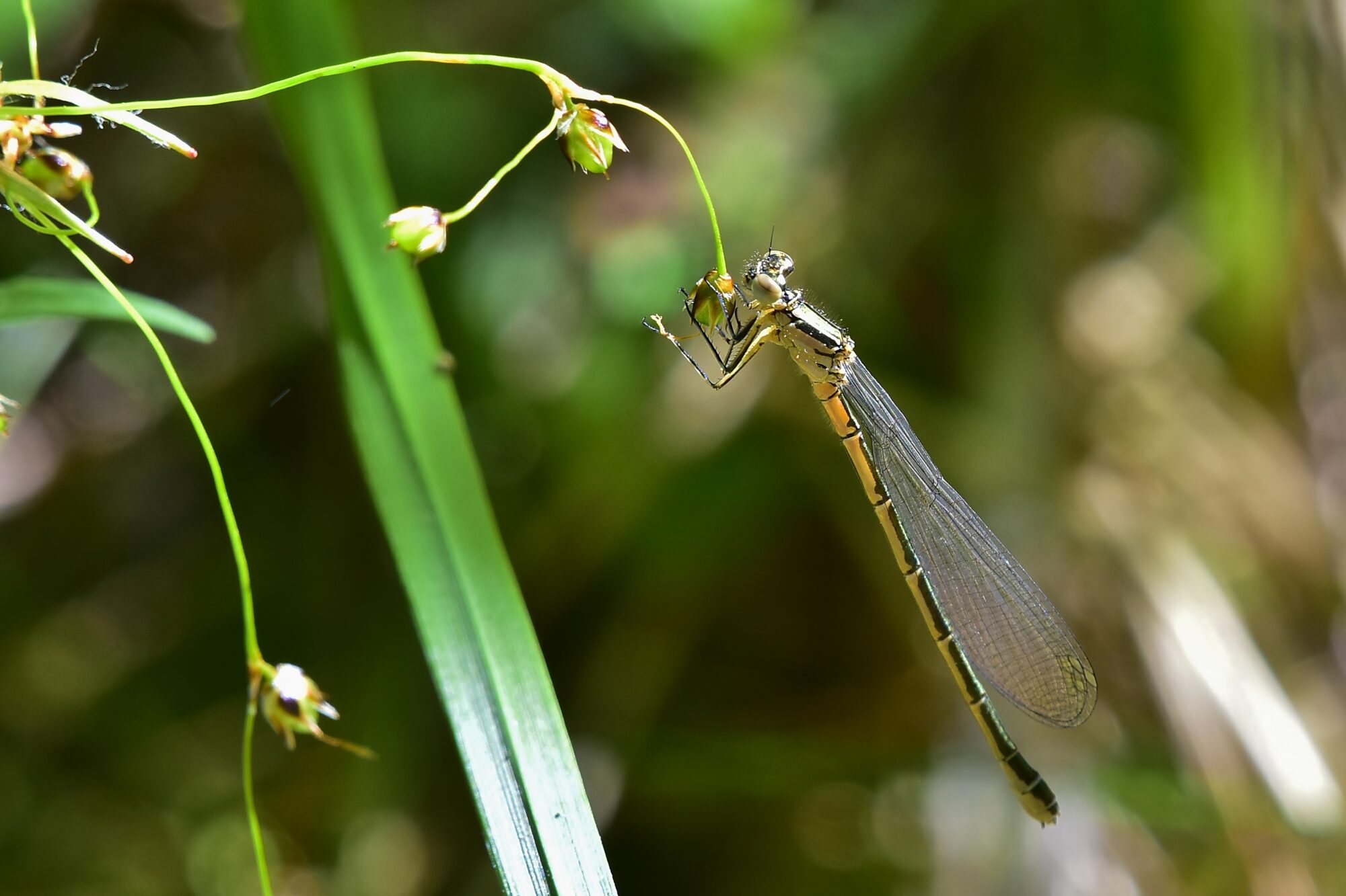 Valokuvaaja: Markku Pelkonen