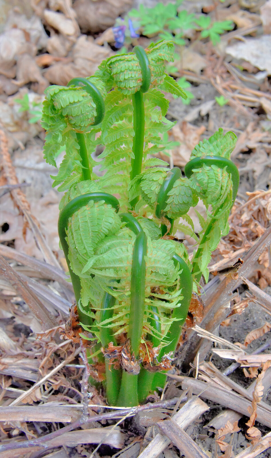 Valokuvaaja: Reijo Juurinen