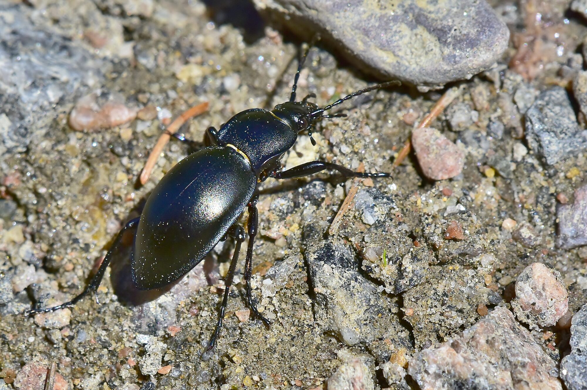 Valokuvaaja: Markku Pelkonen