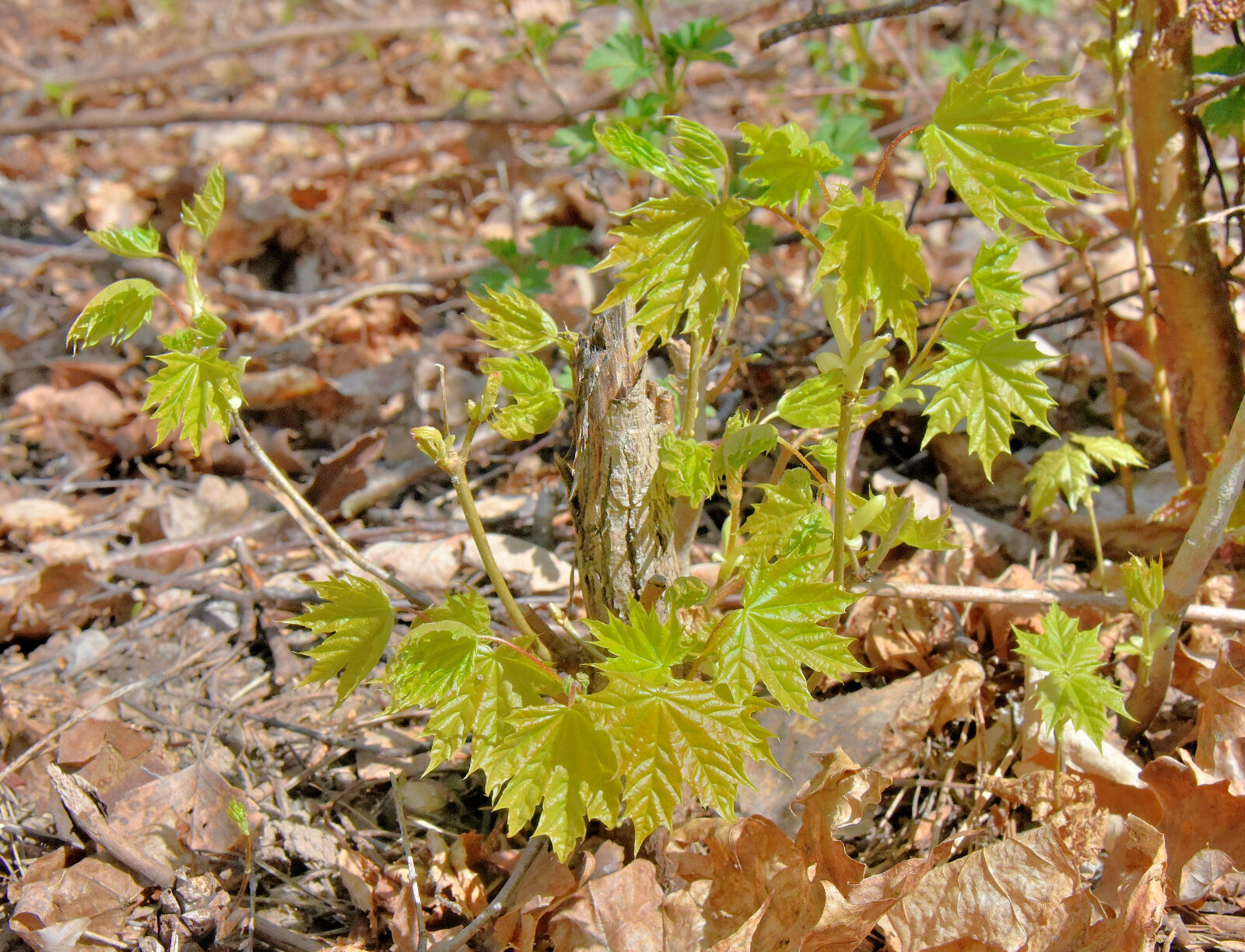 Valokuvaaja: Reijo Juurinen