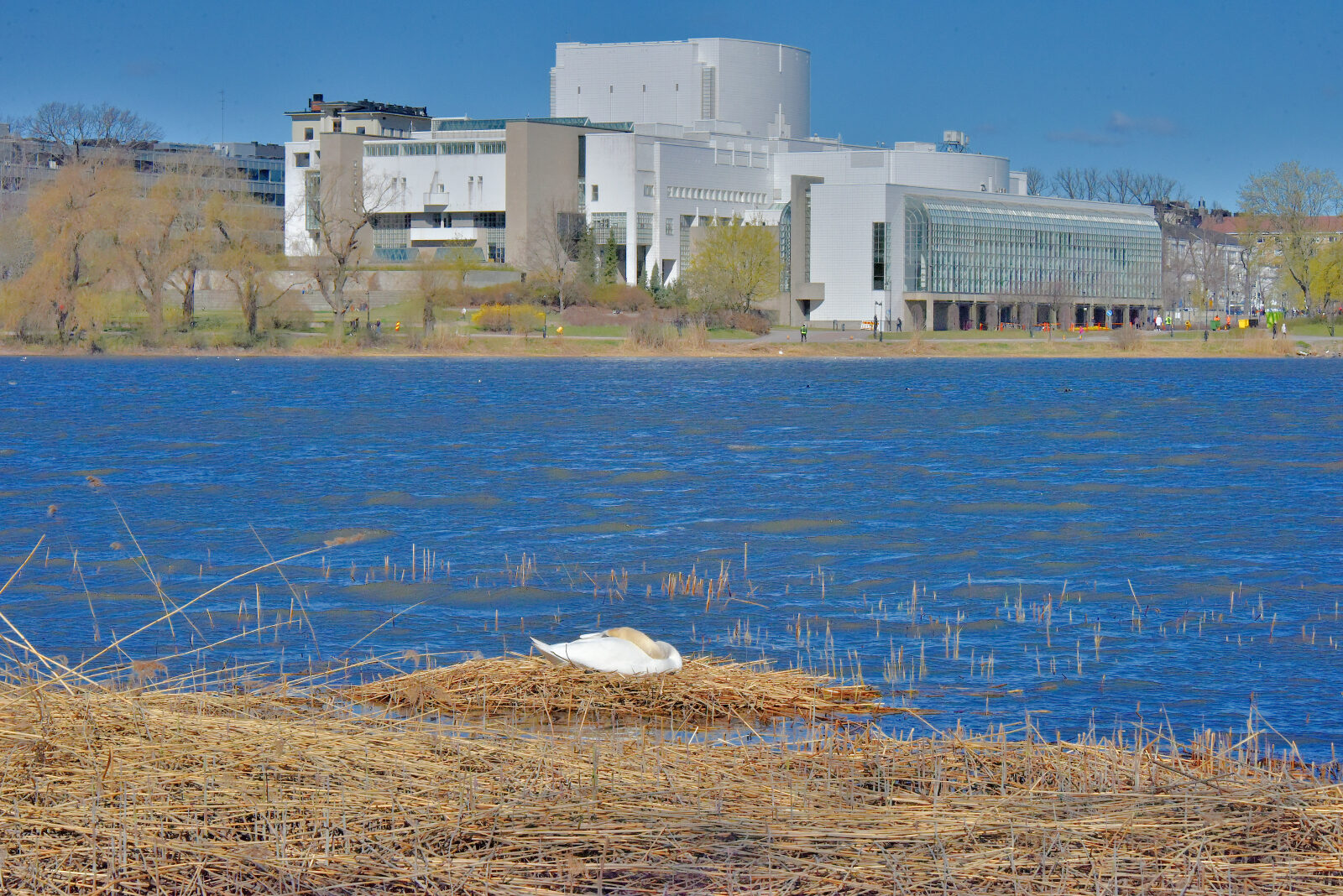 Valokuvaaja: Reijo Juurinen