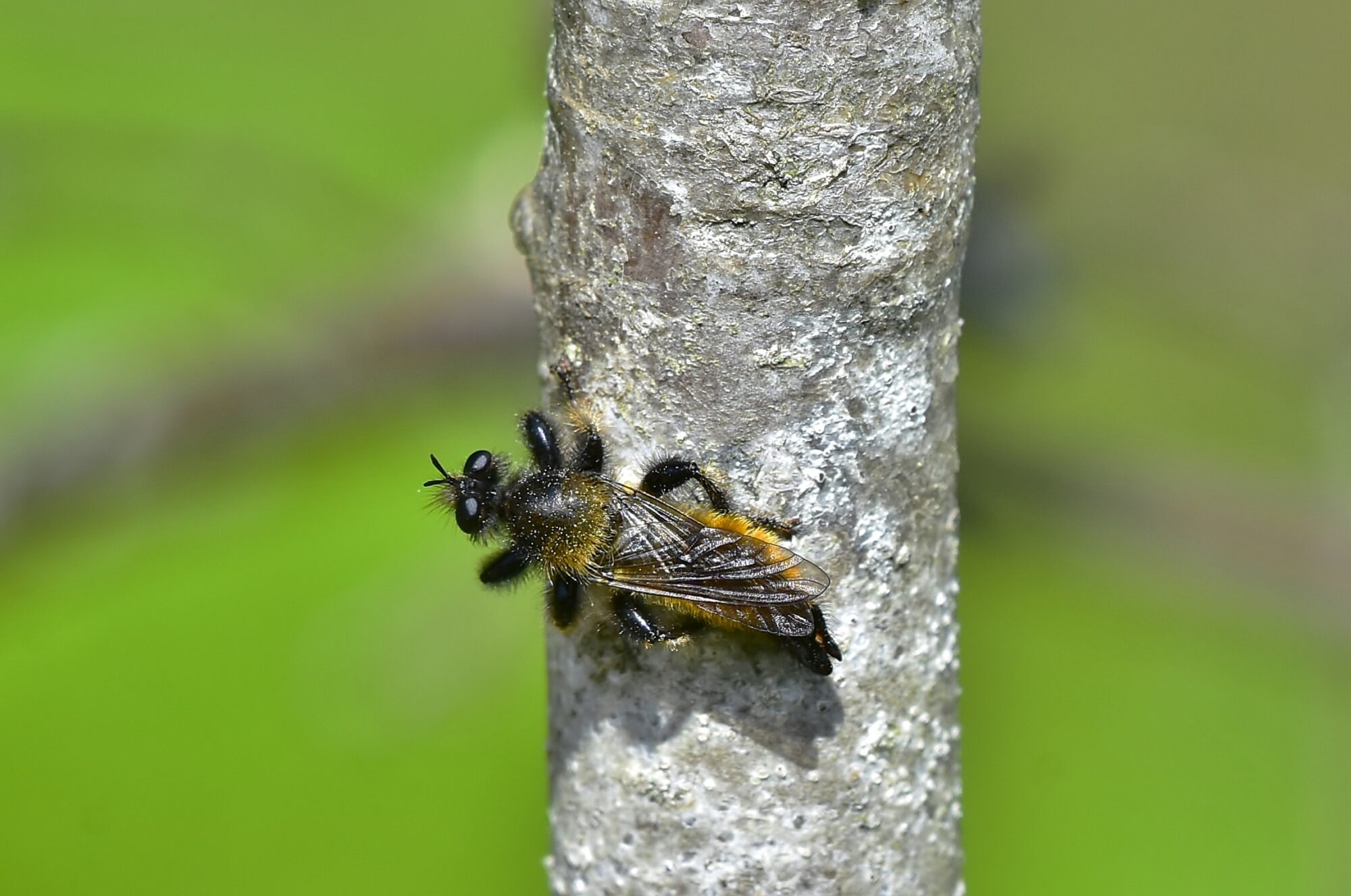 Valokuvaaja: Markku Pelkonen