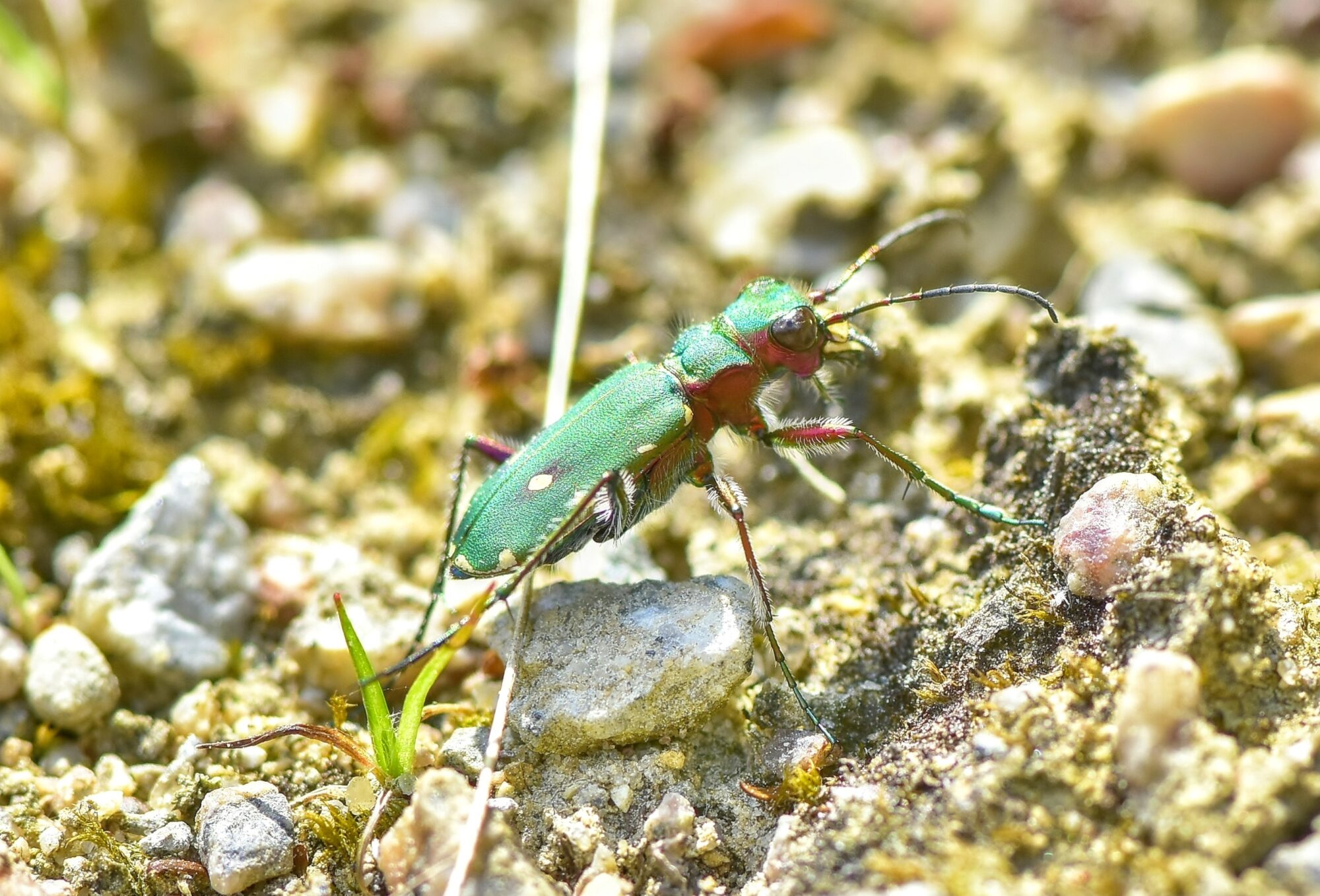 Valokuvaaja: Markku Pelkonen