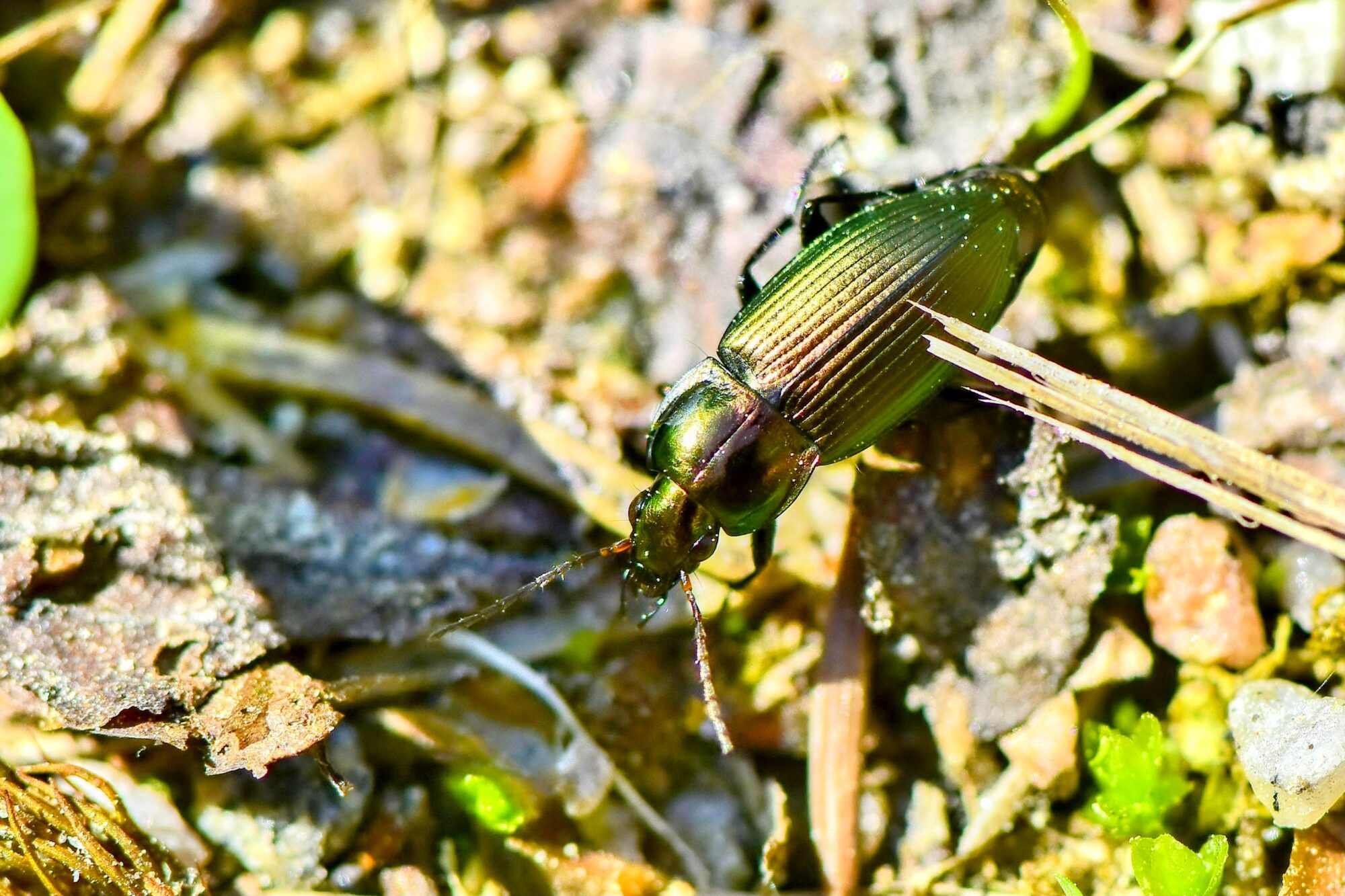 Valokuvaaja: Markku Pelkonen