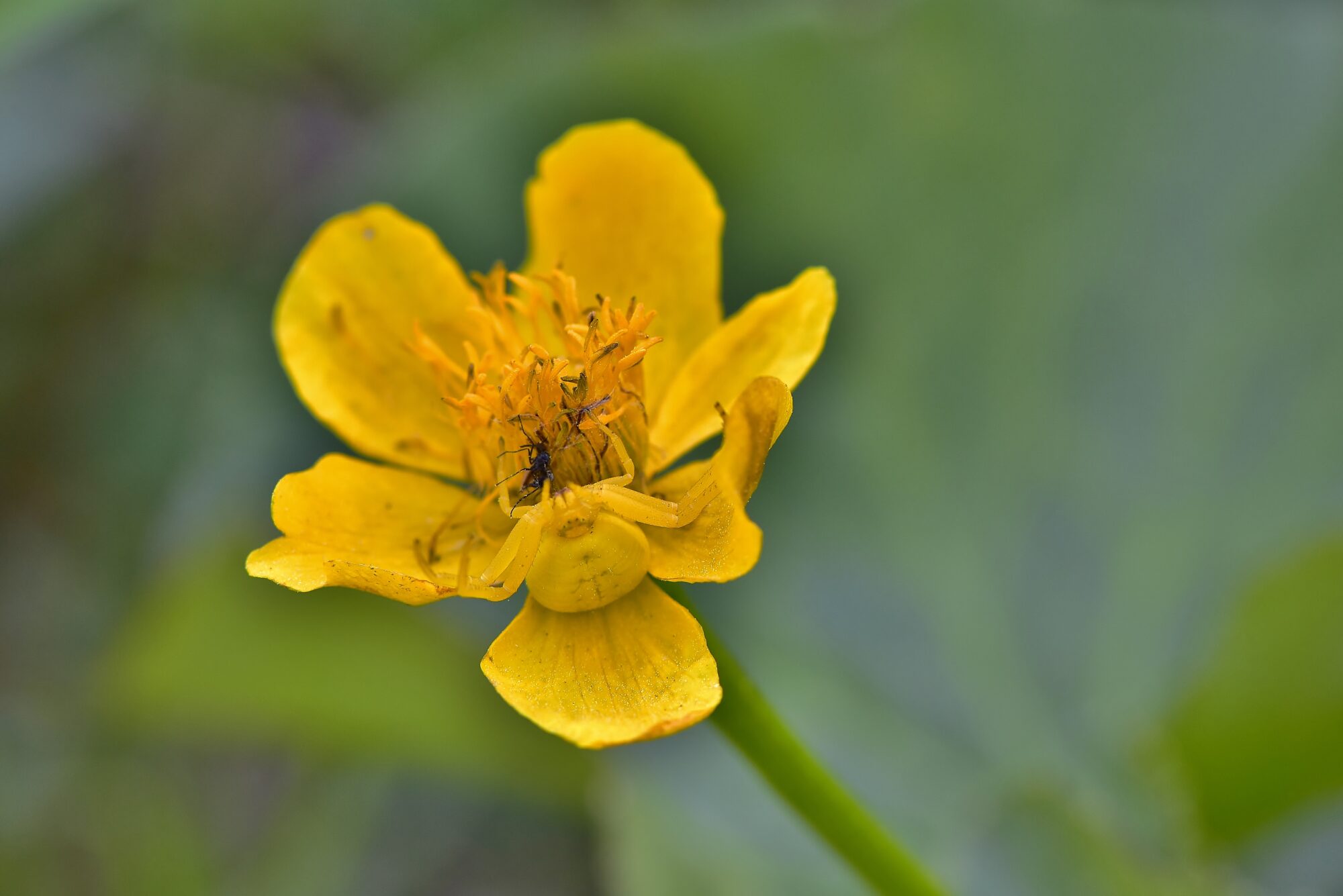 Valokuvaaja: Markku Pelkonen