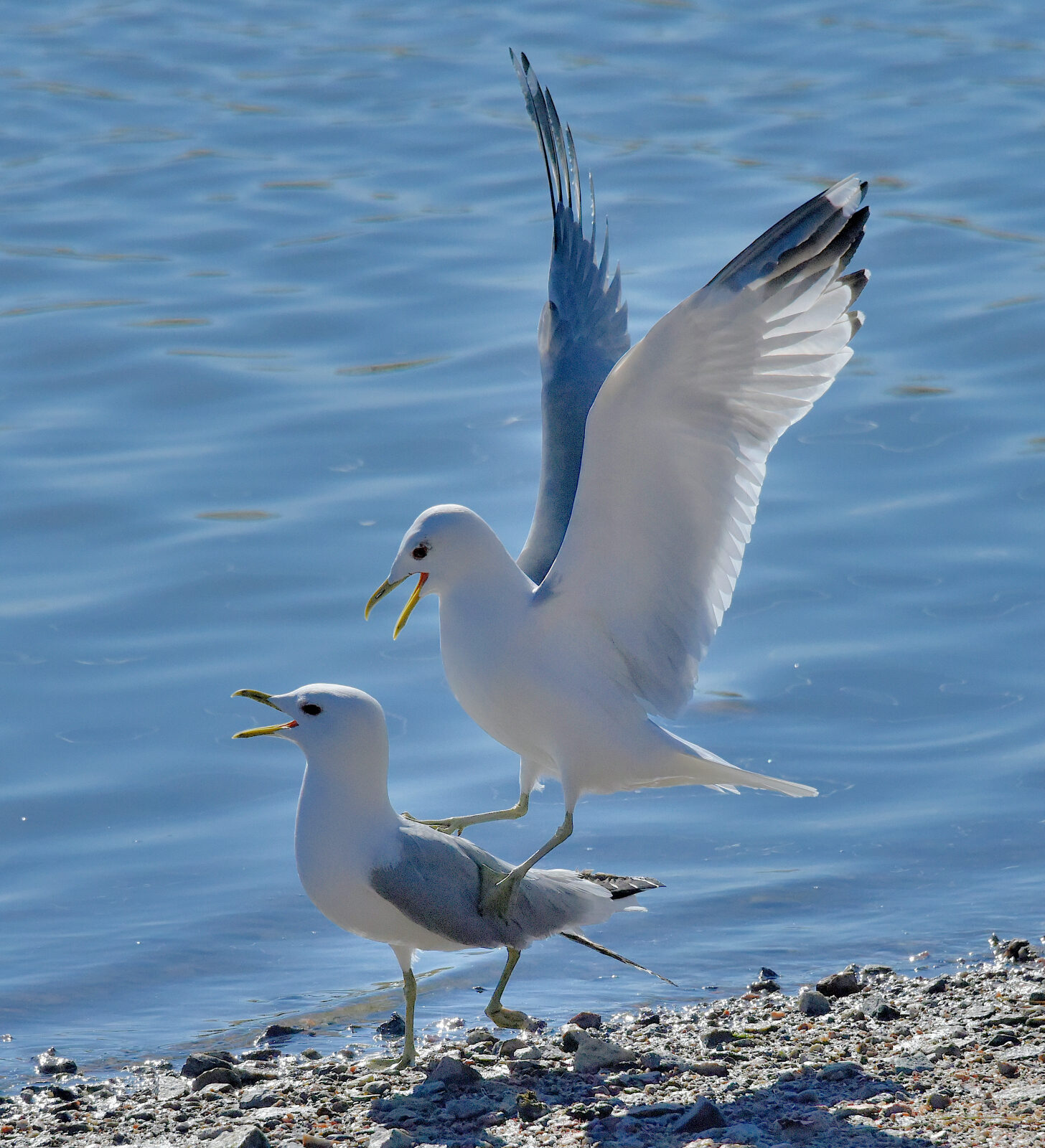 Valokuvaaja: Reijo Juurinen