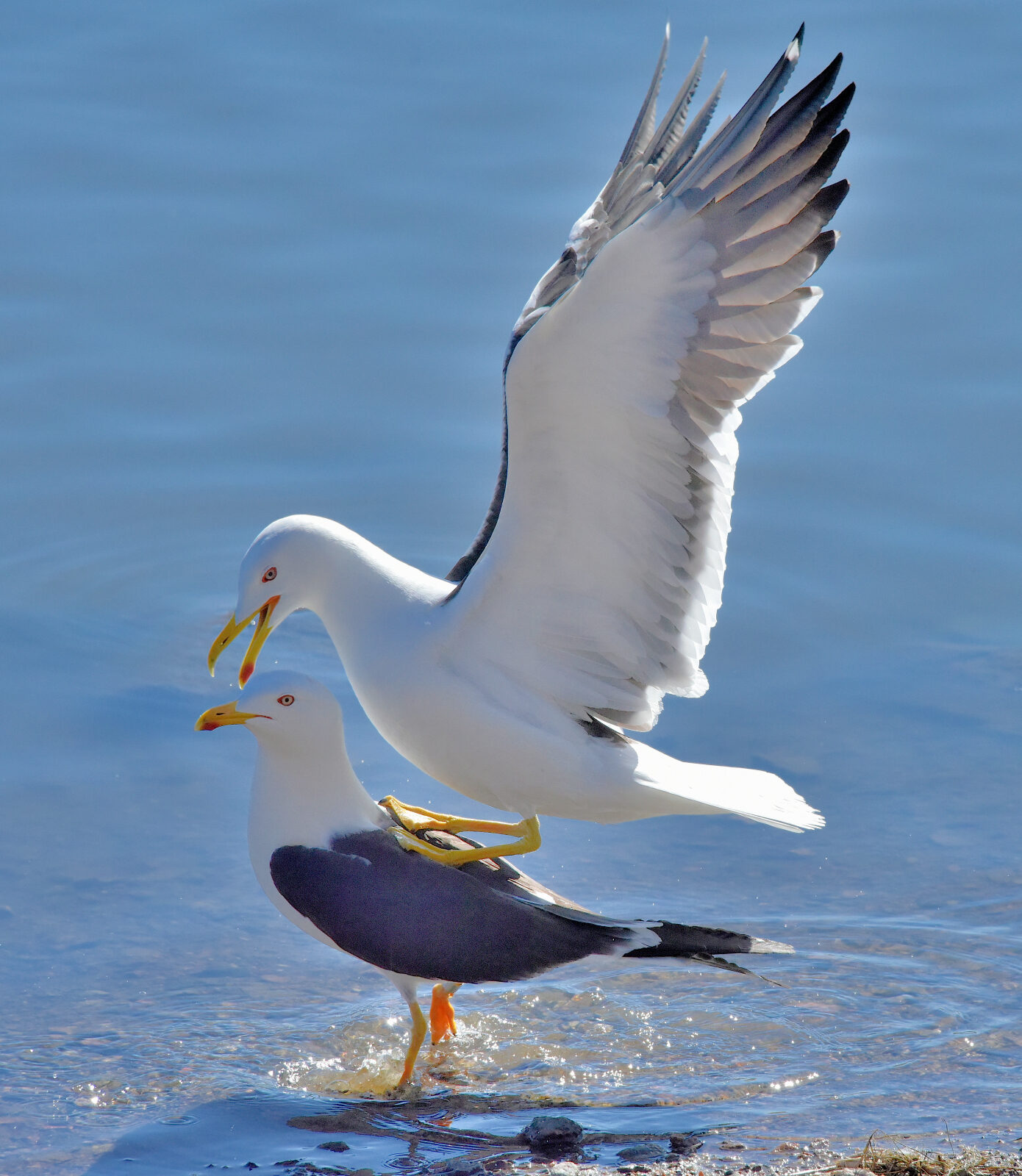 Valokuvaaja: Reijo Juurinen