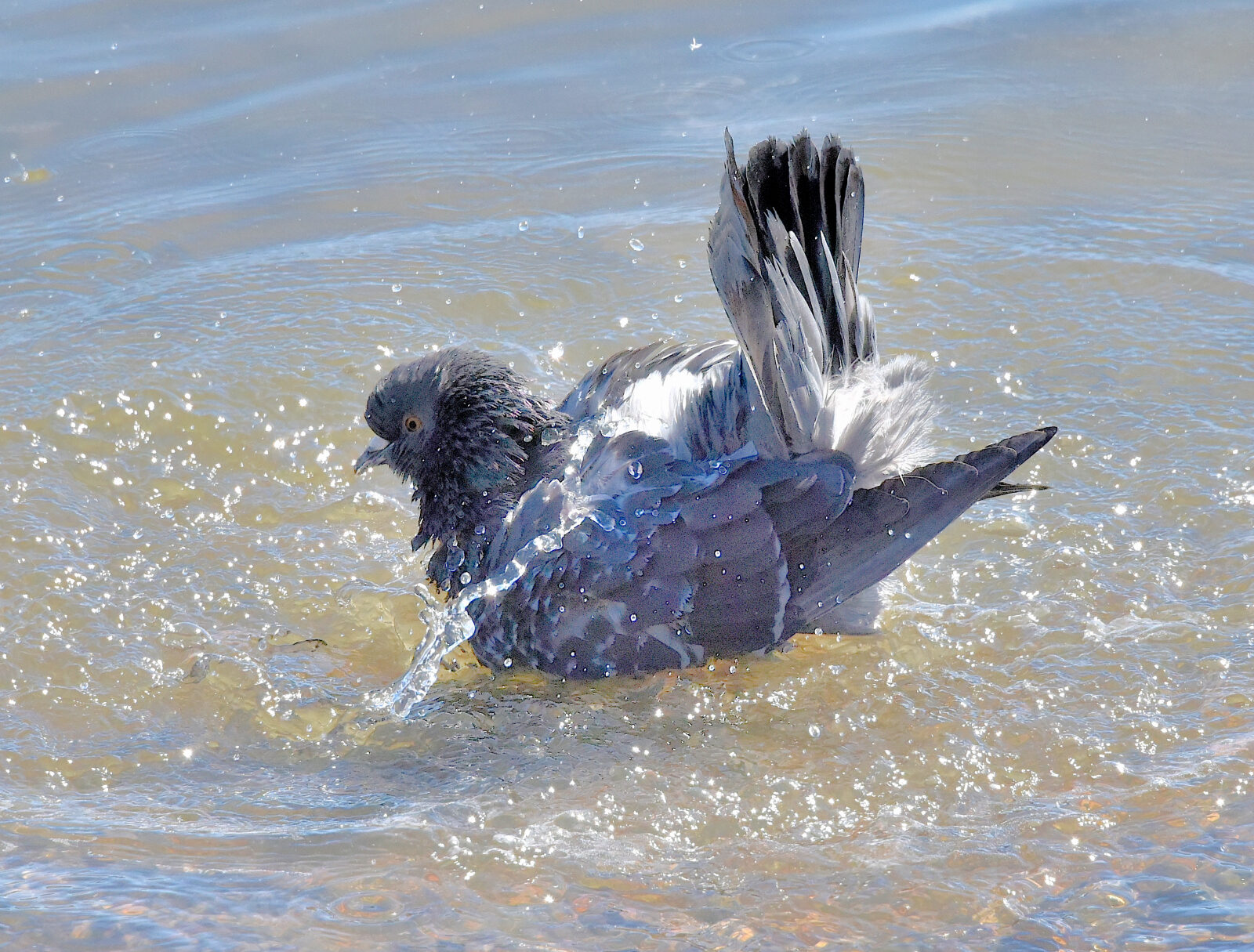 Valokuvaaja: Reijo Juurinen