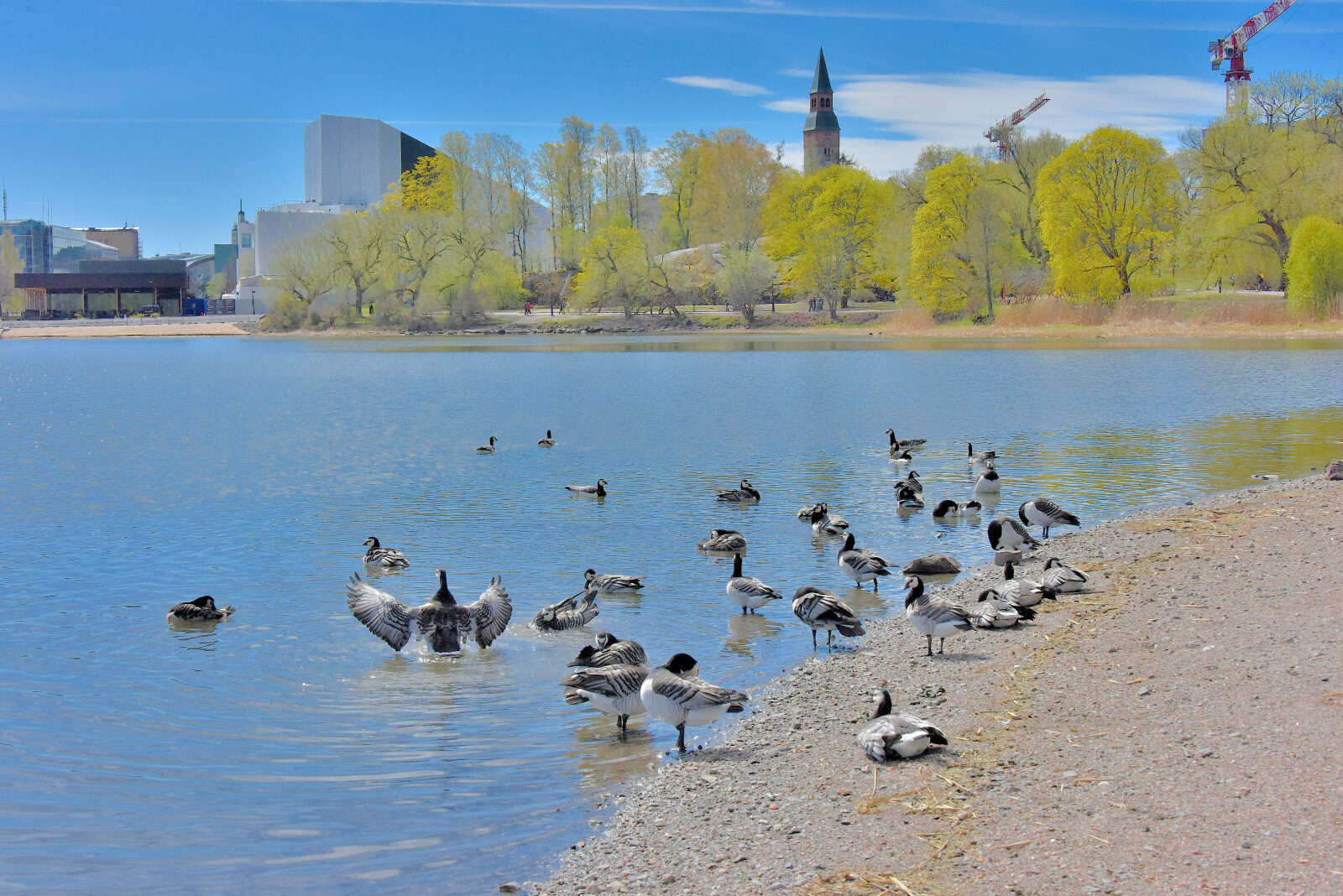 Valokuvaaja: Reijo Juurinen