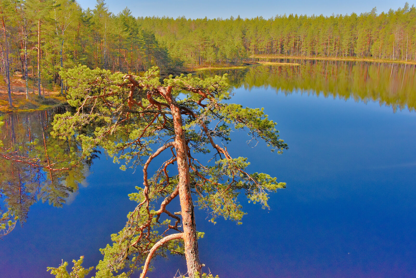 Valokuvaaja: Reijo Juurinen