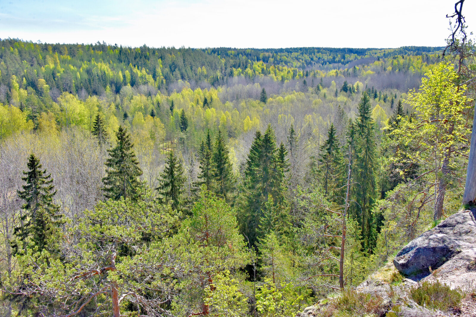 Valokuvaaja: Reijo Juurinen