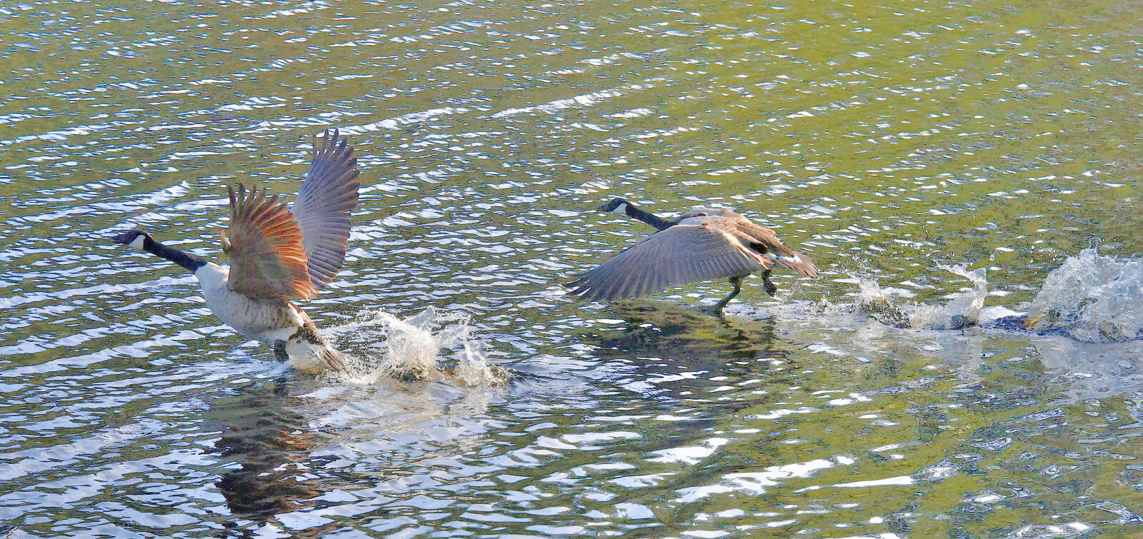 Valokuvaaja: Reijo Juurinen