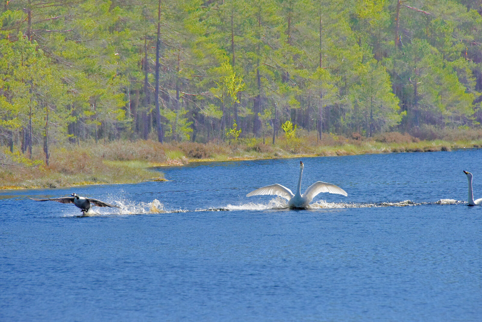 Valokuvaaja: Reijo Juurinen