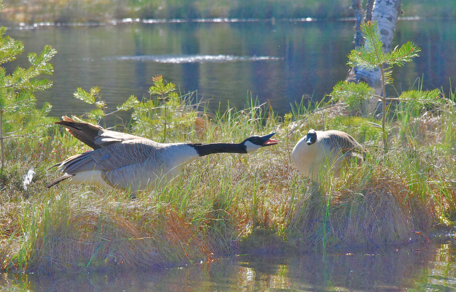 Valokuvaaja: Reijo Juurinen